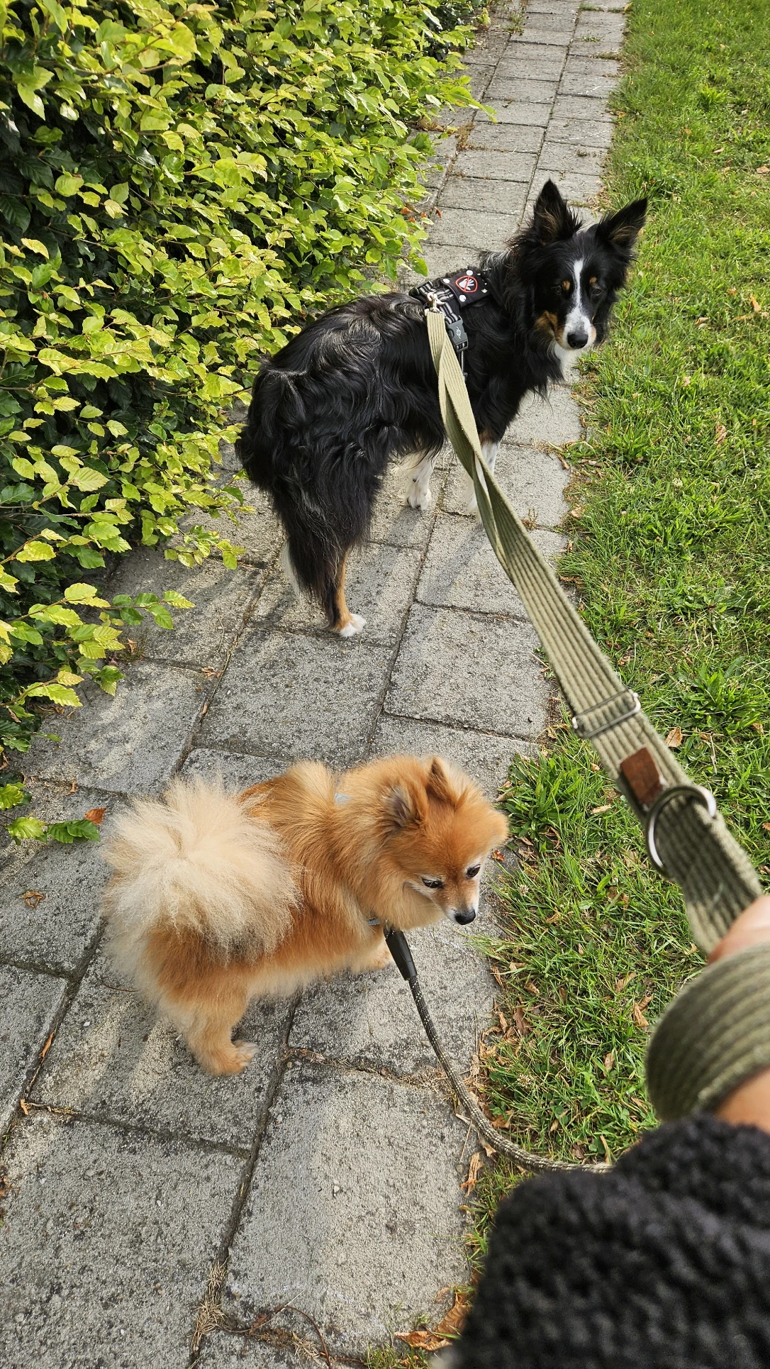 image-11