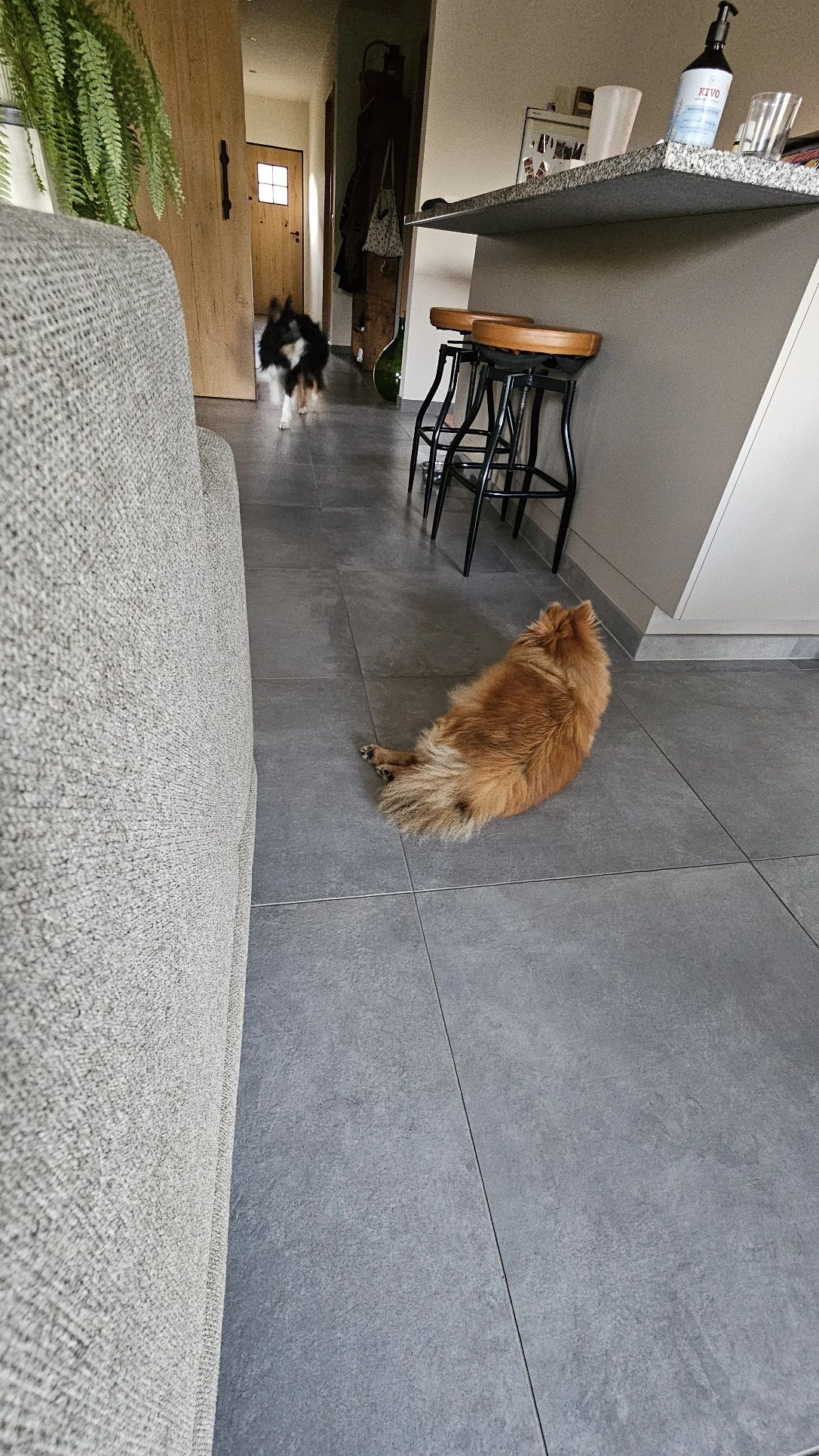 image-17