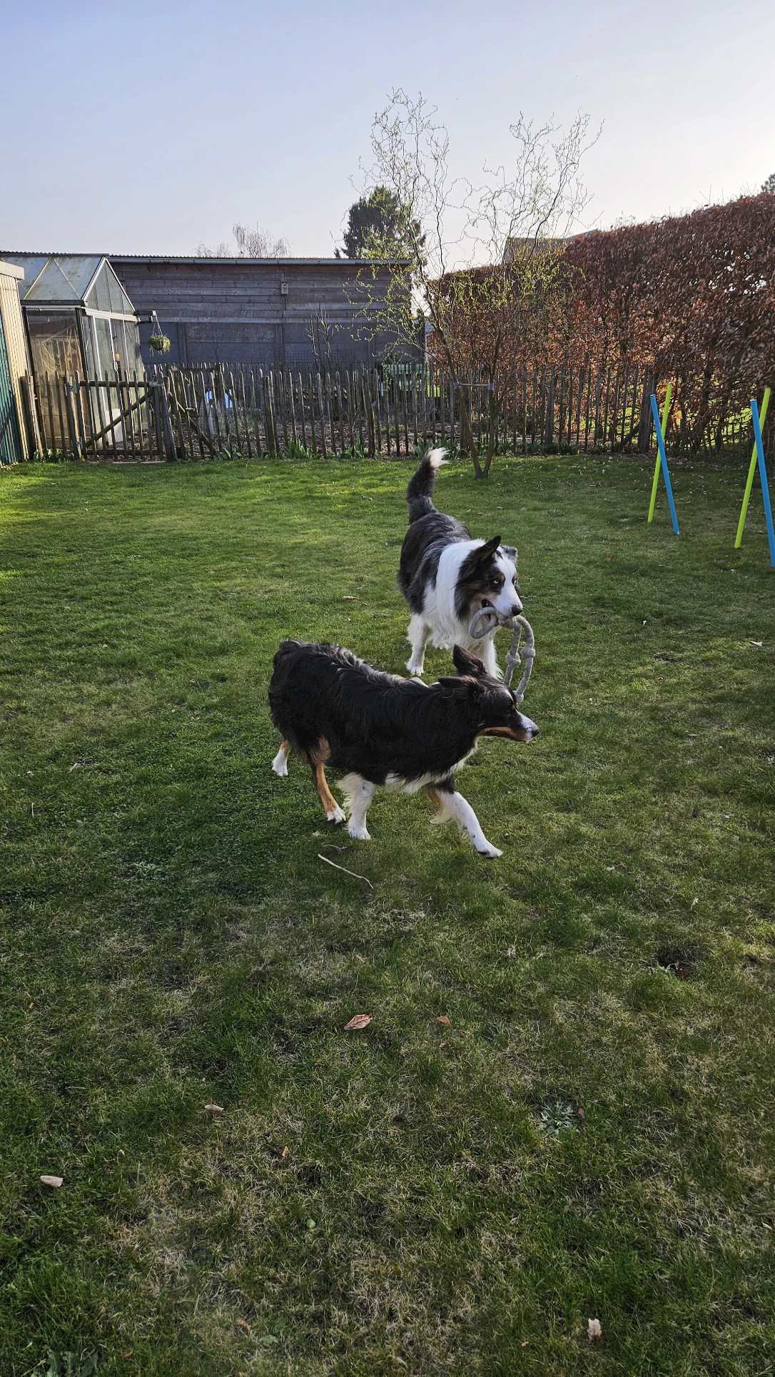 image-9