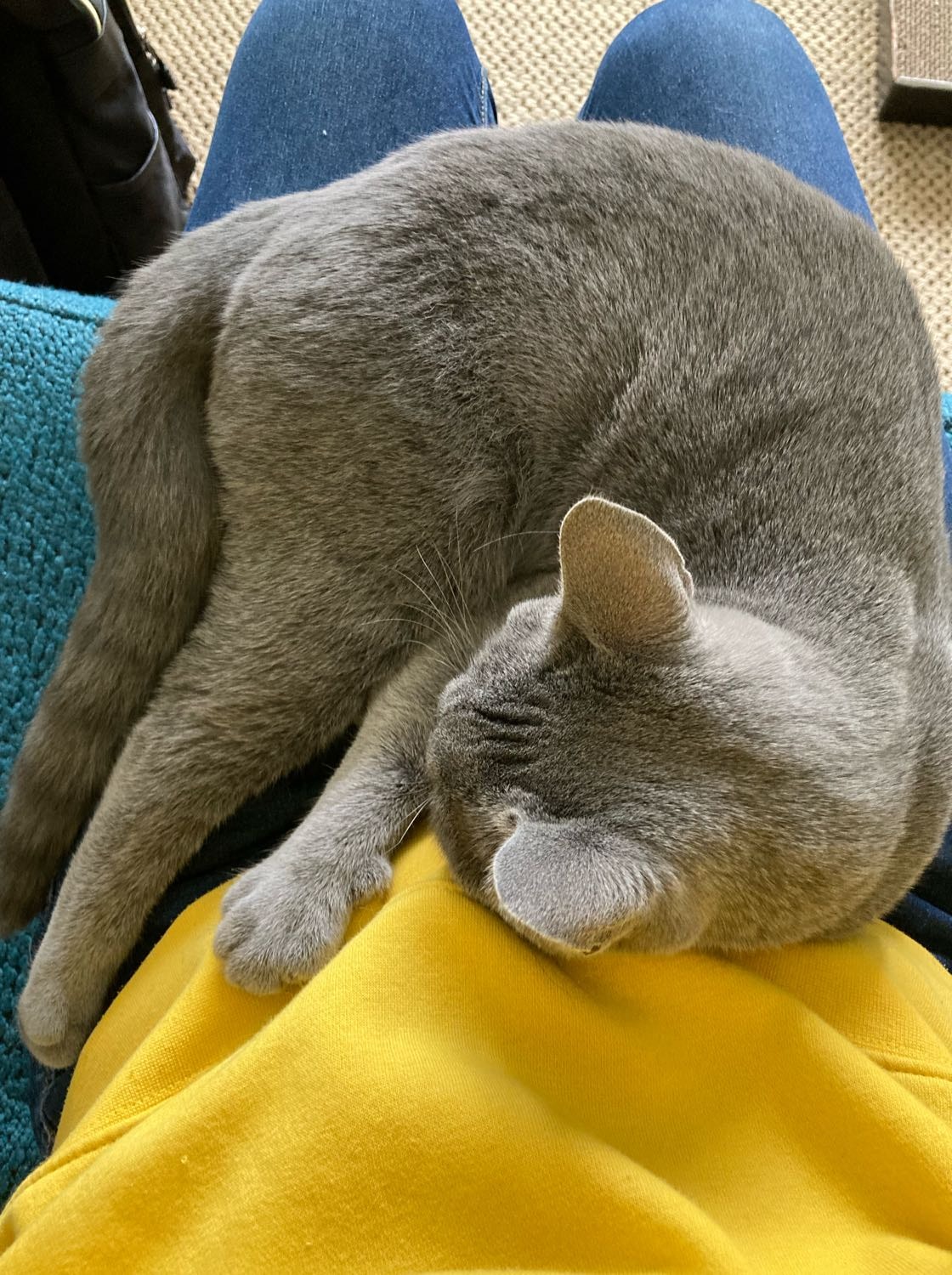 image-6