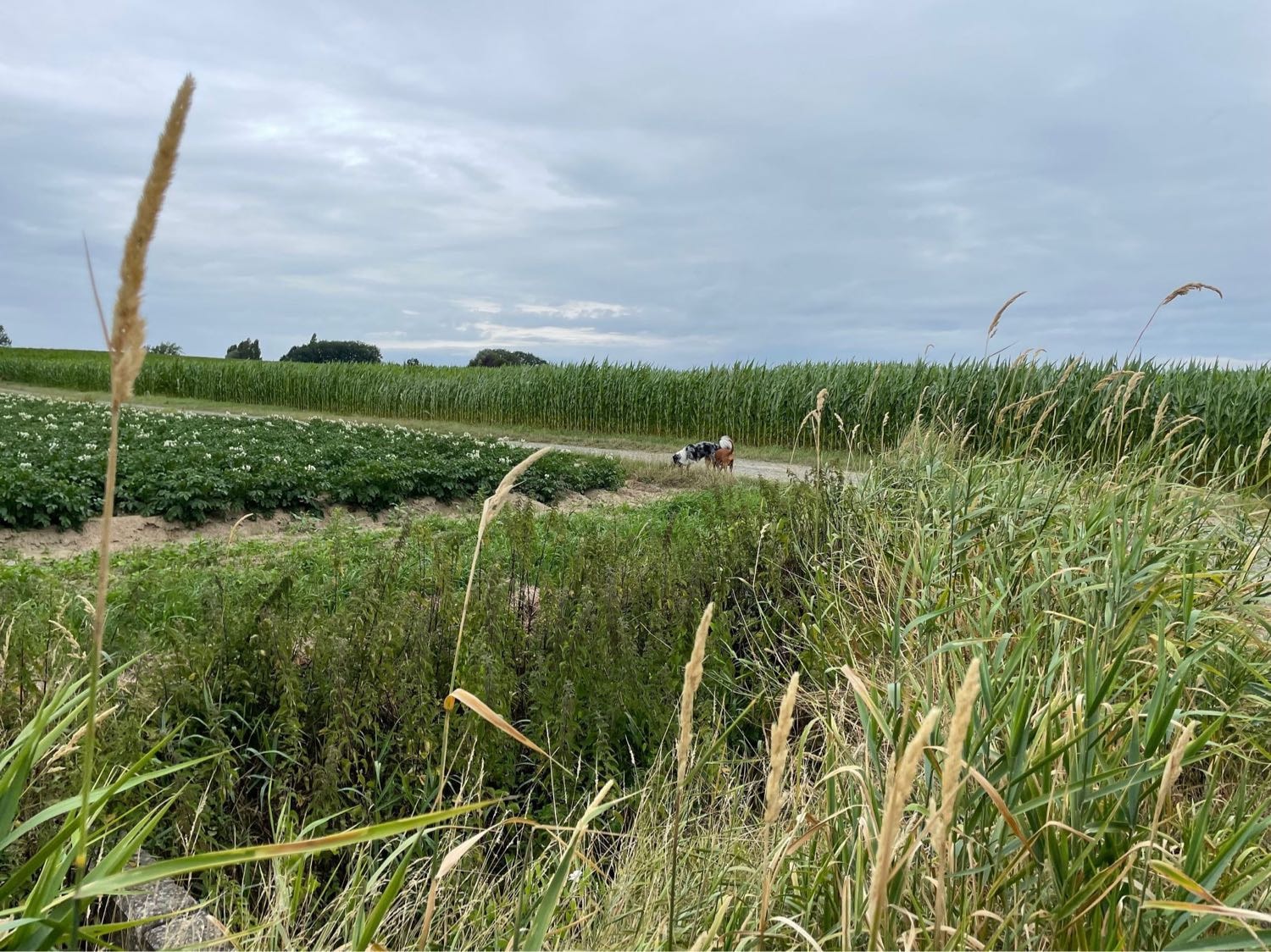 image-20
