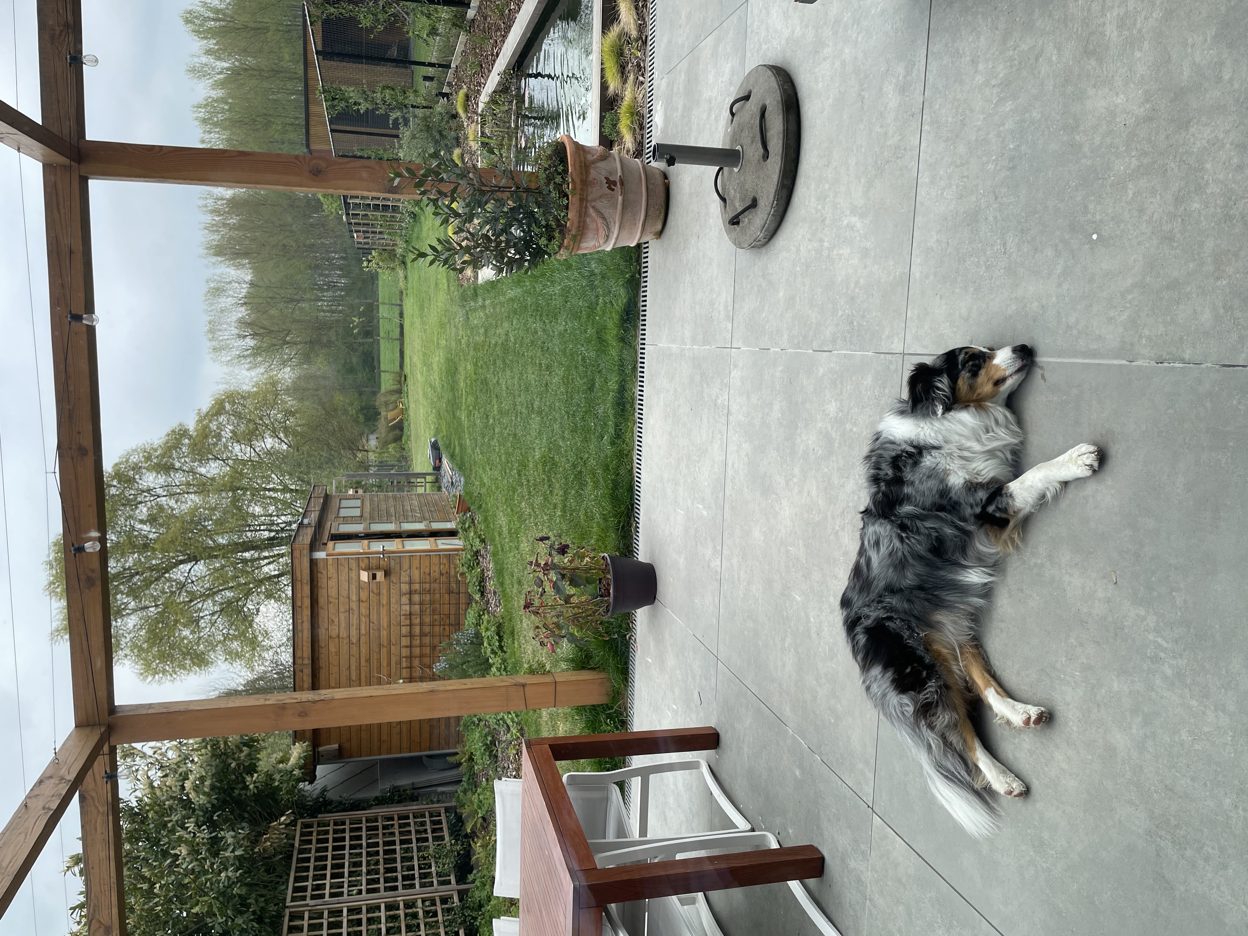 image-32