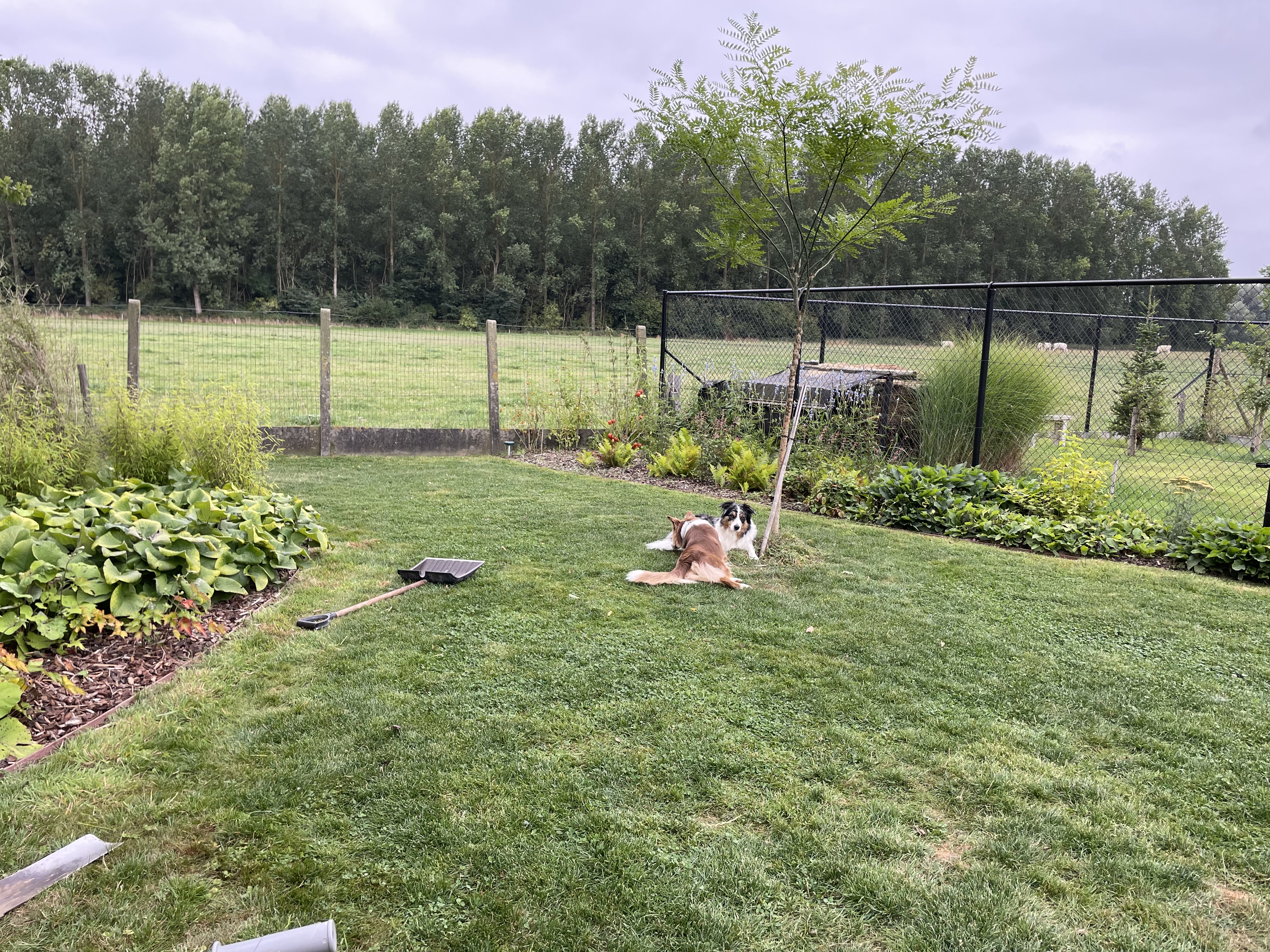 image-27