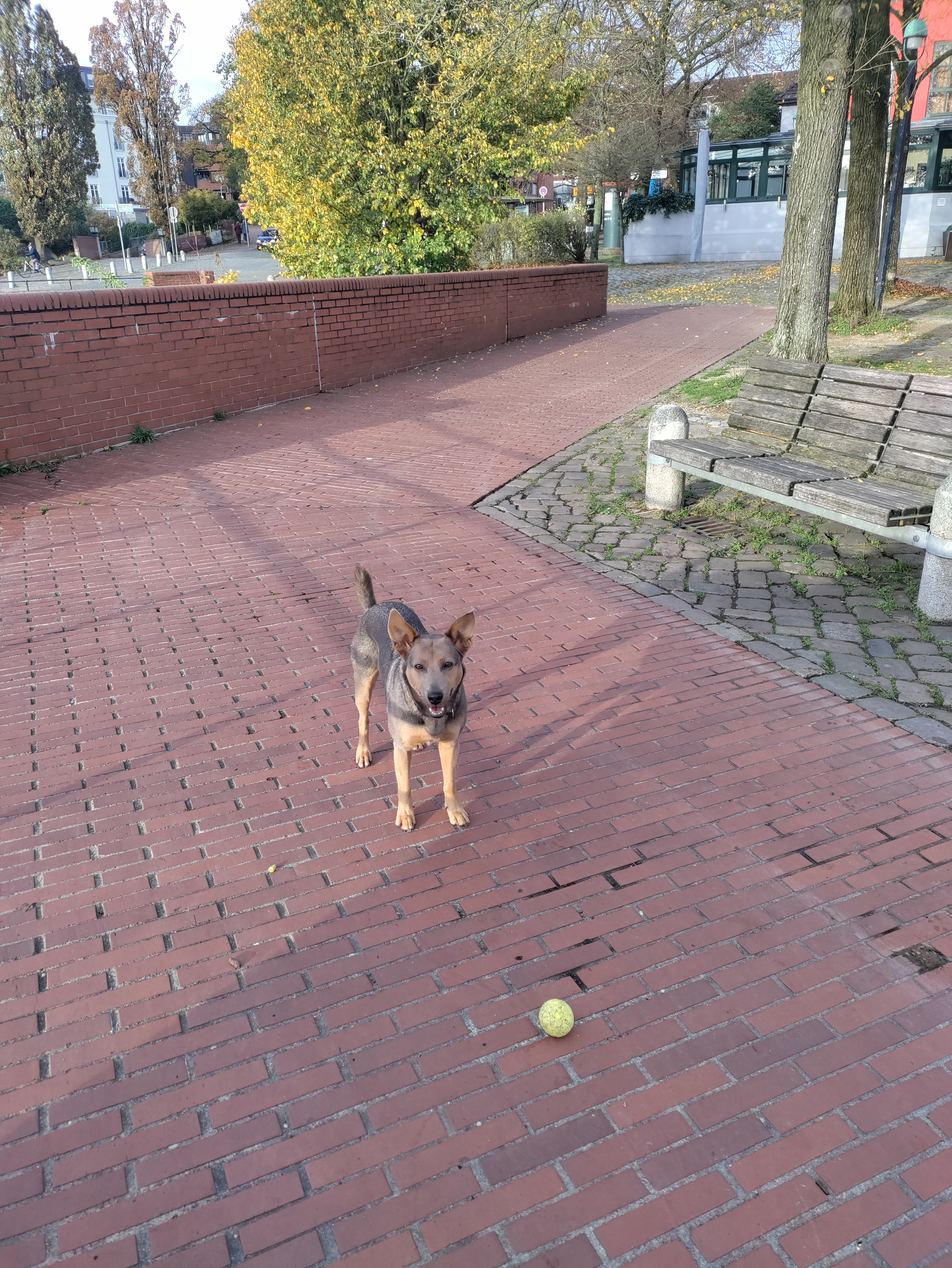 image-10