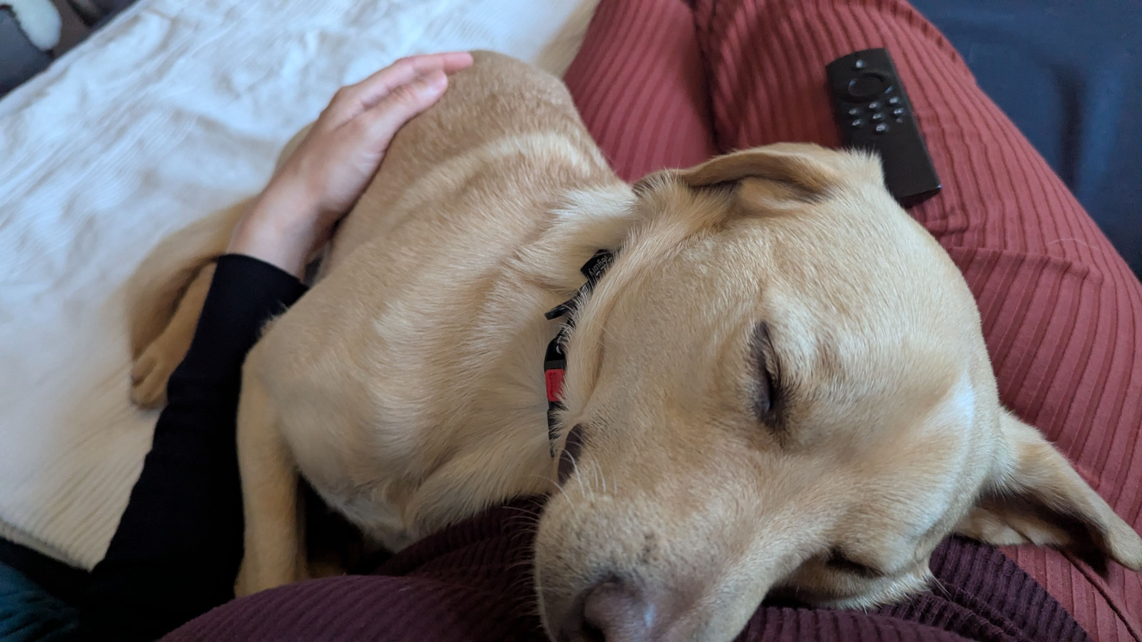 image-8