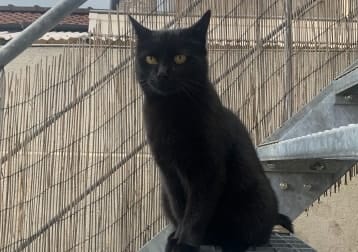 Sam