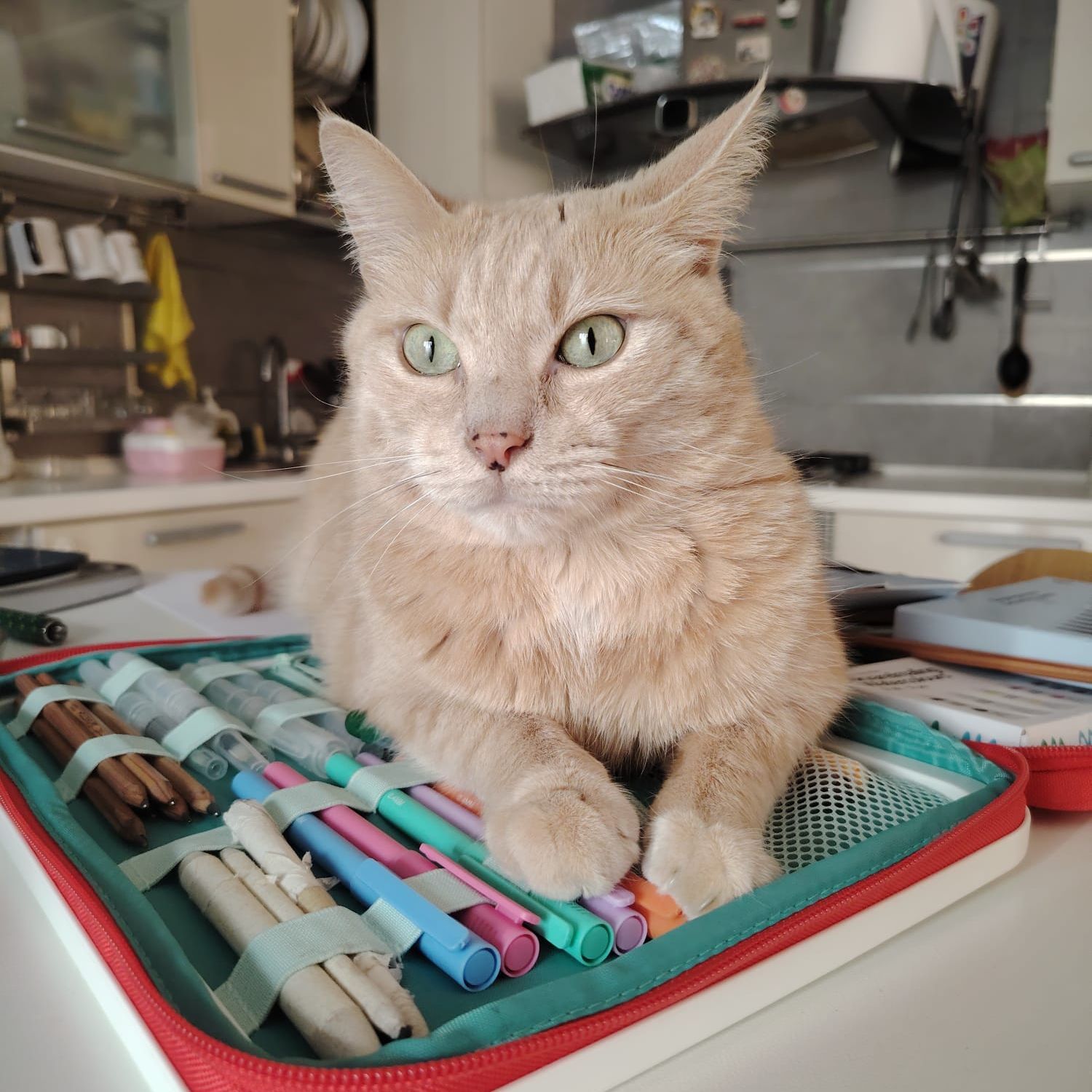 Artù