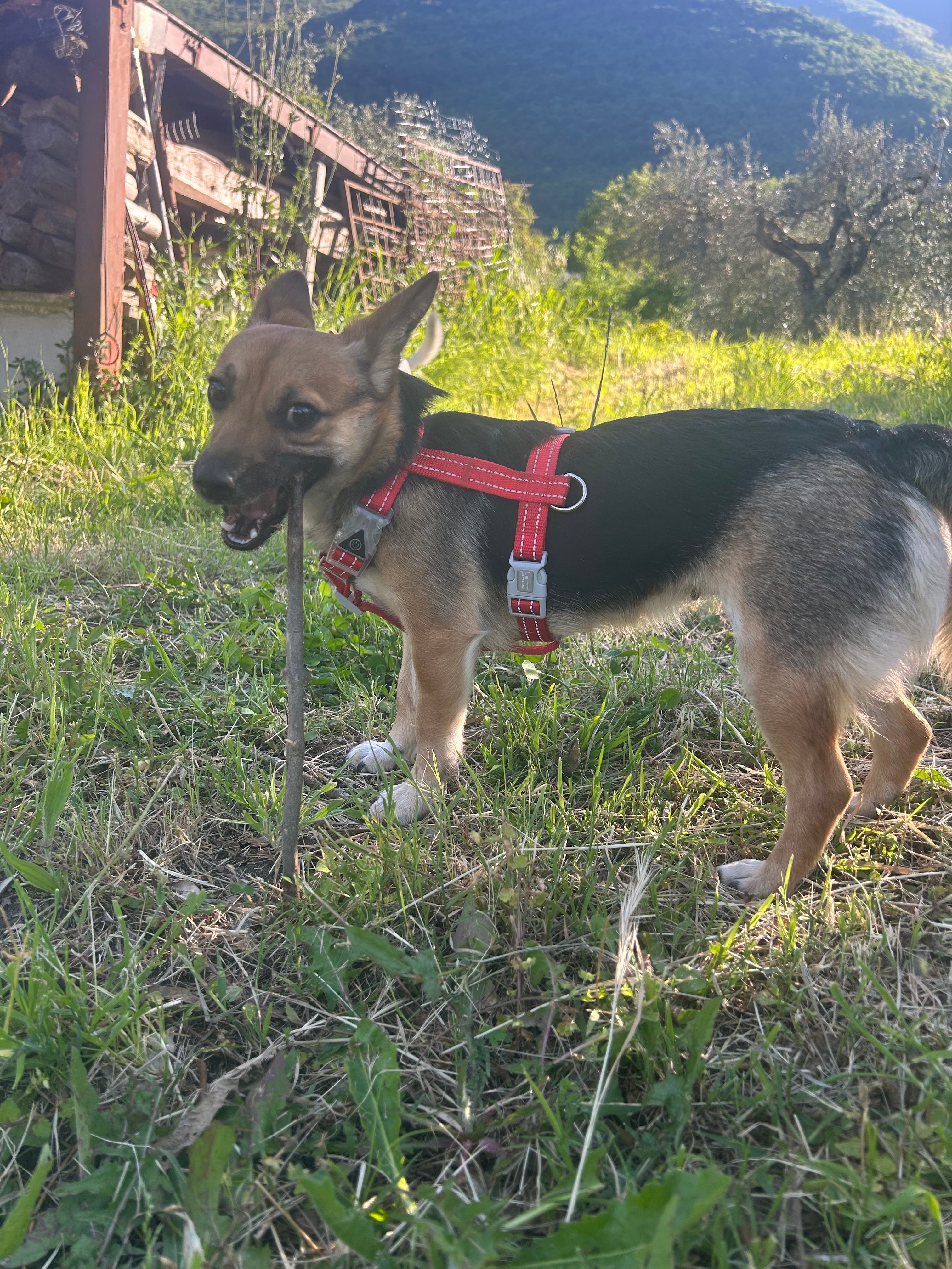 image-6