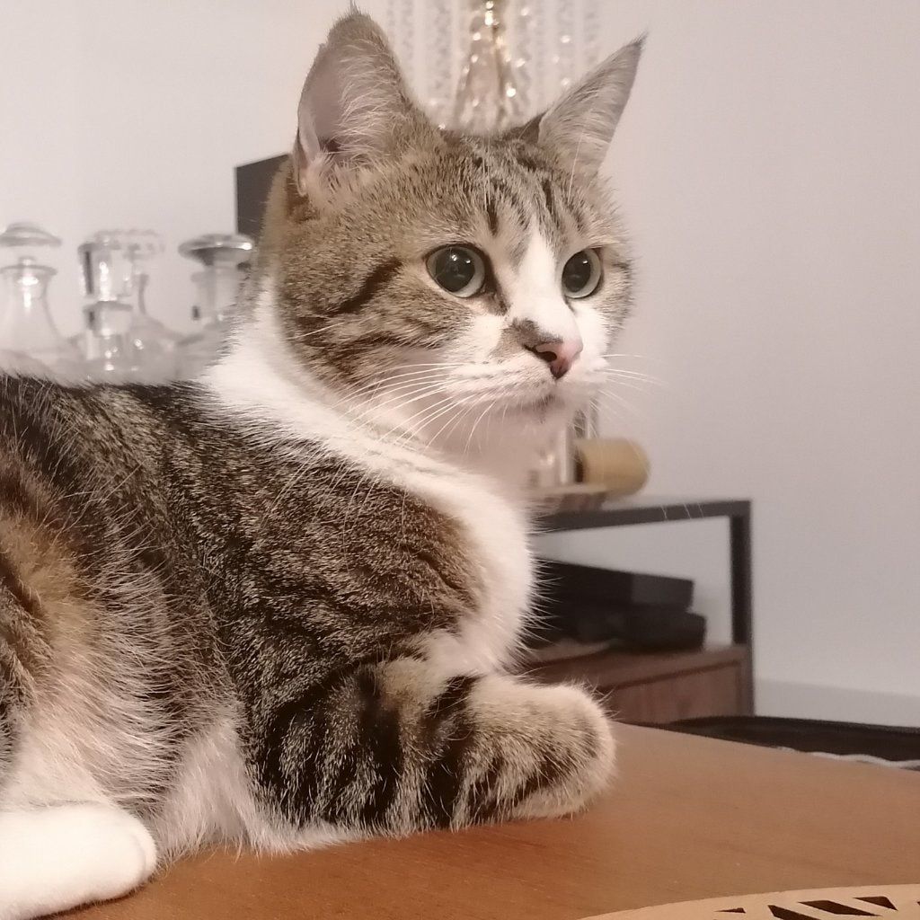 Roxy