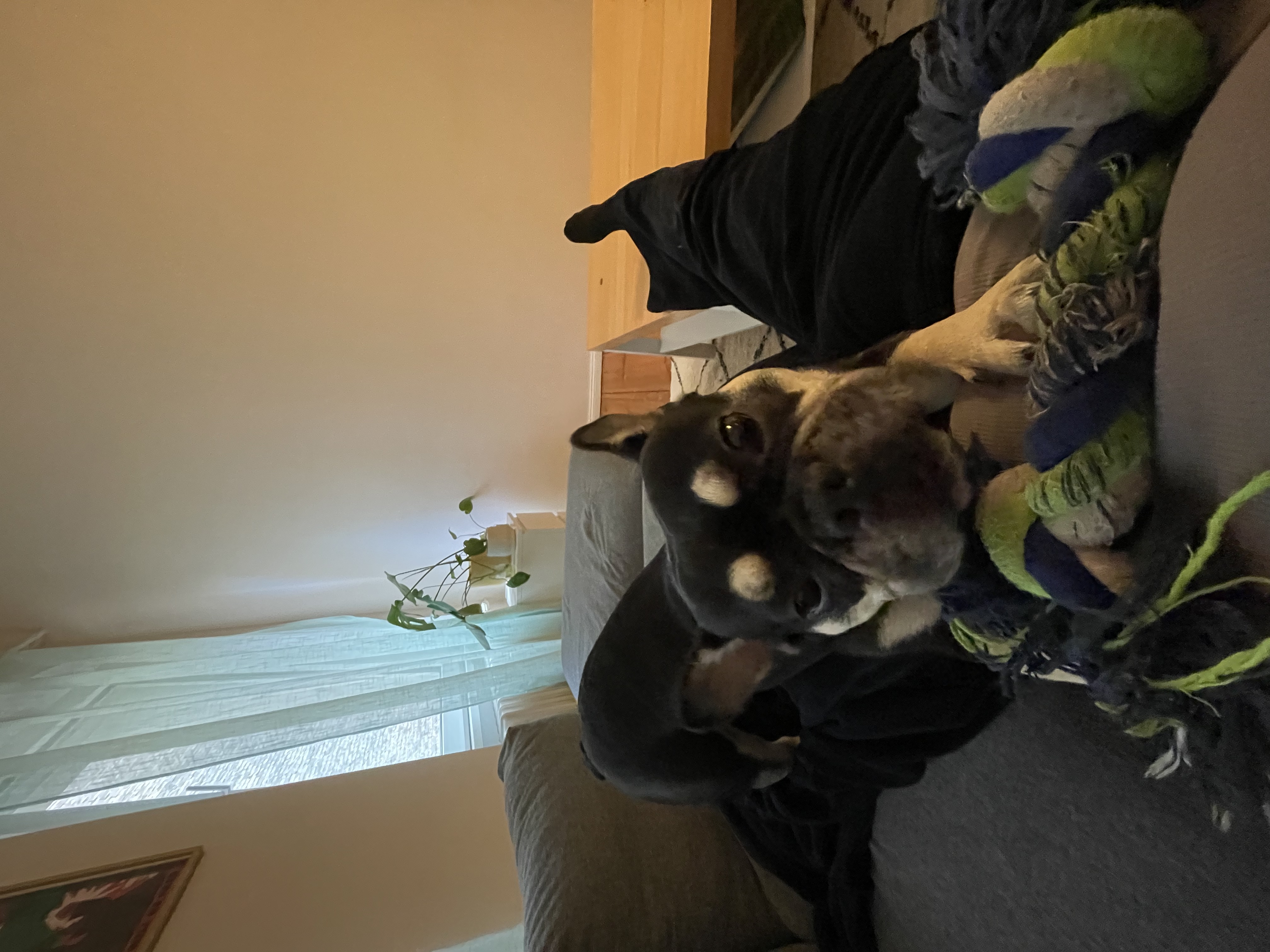 image-8