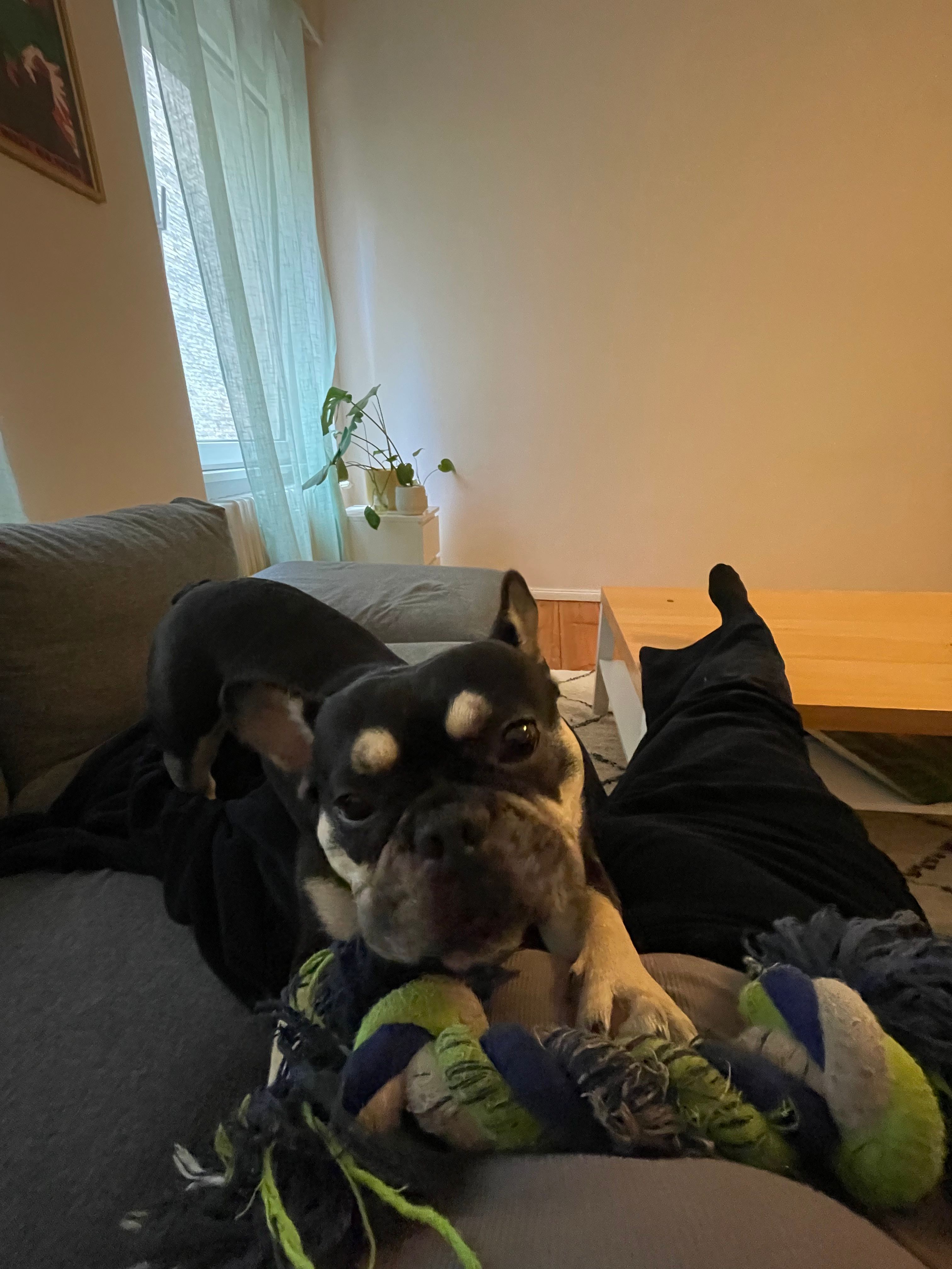 image-8