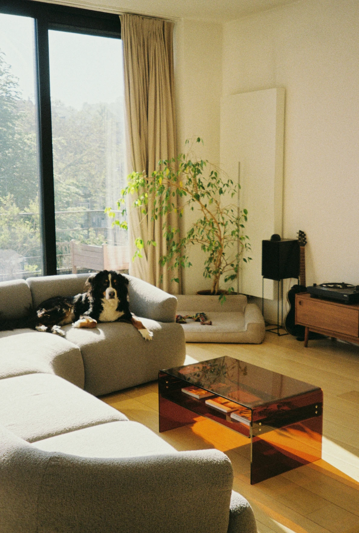 image-11