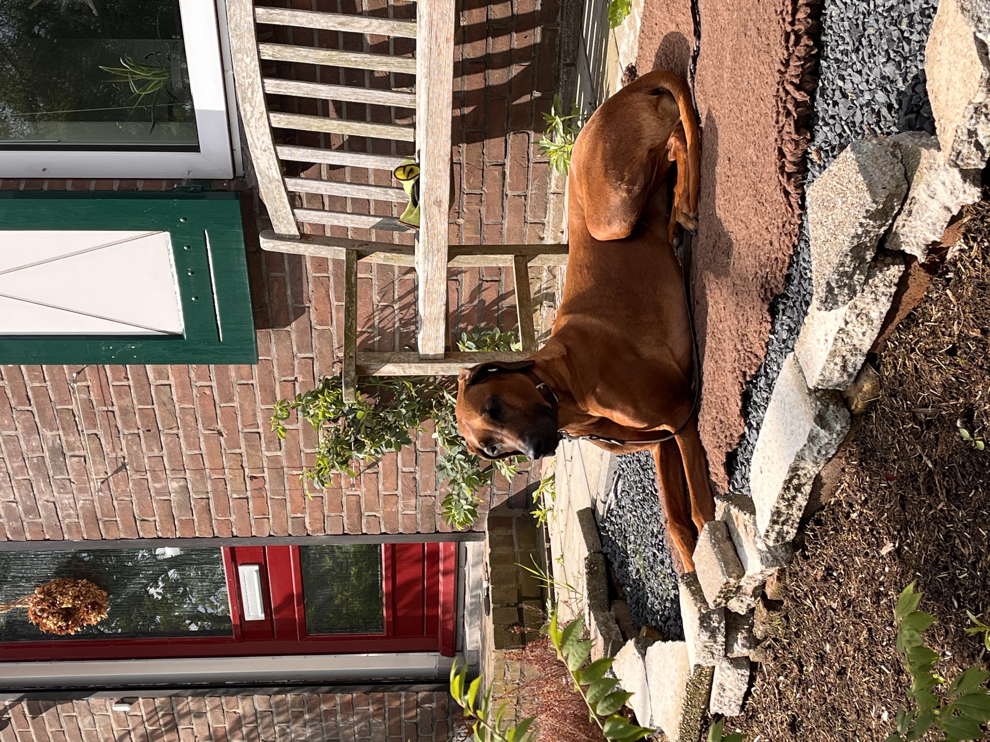 image-18