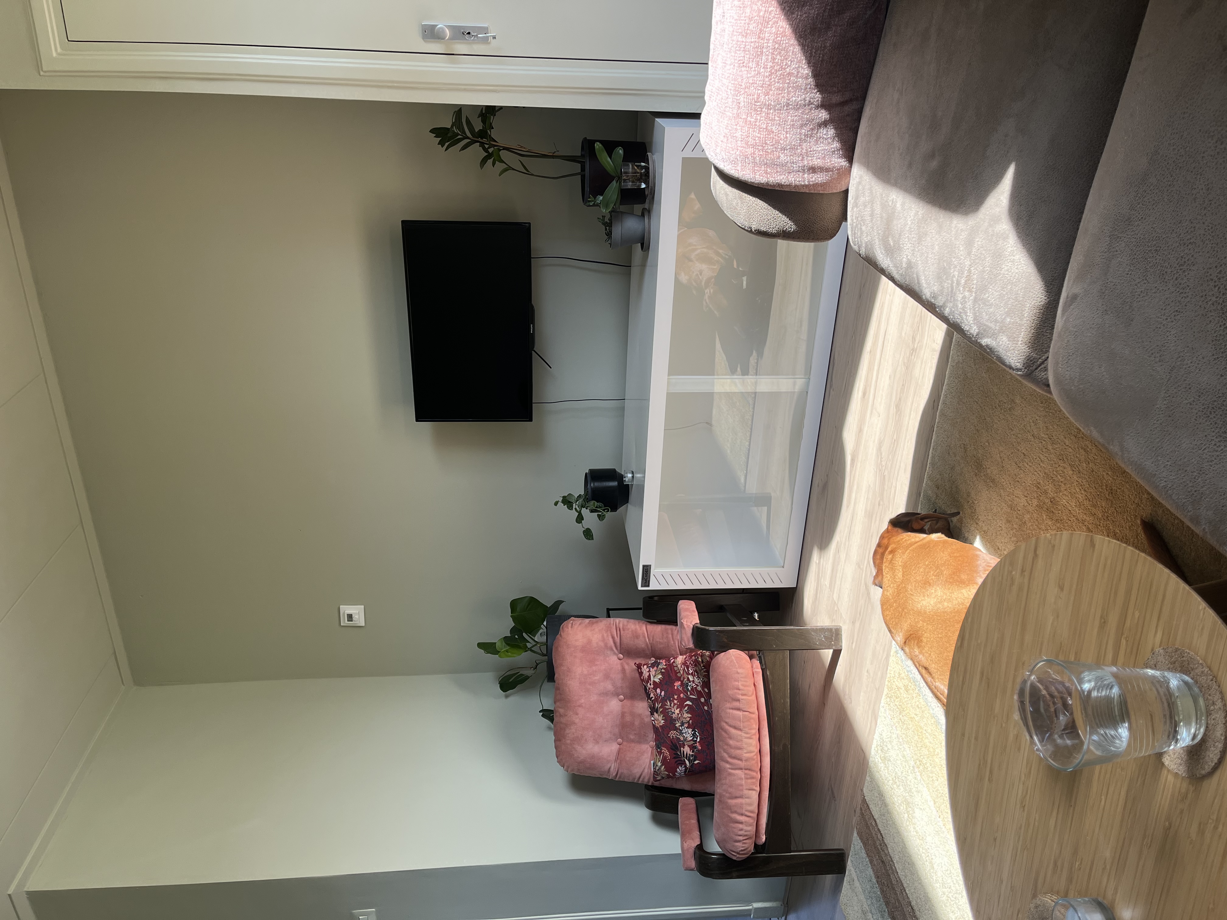 image-19