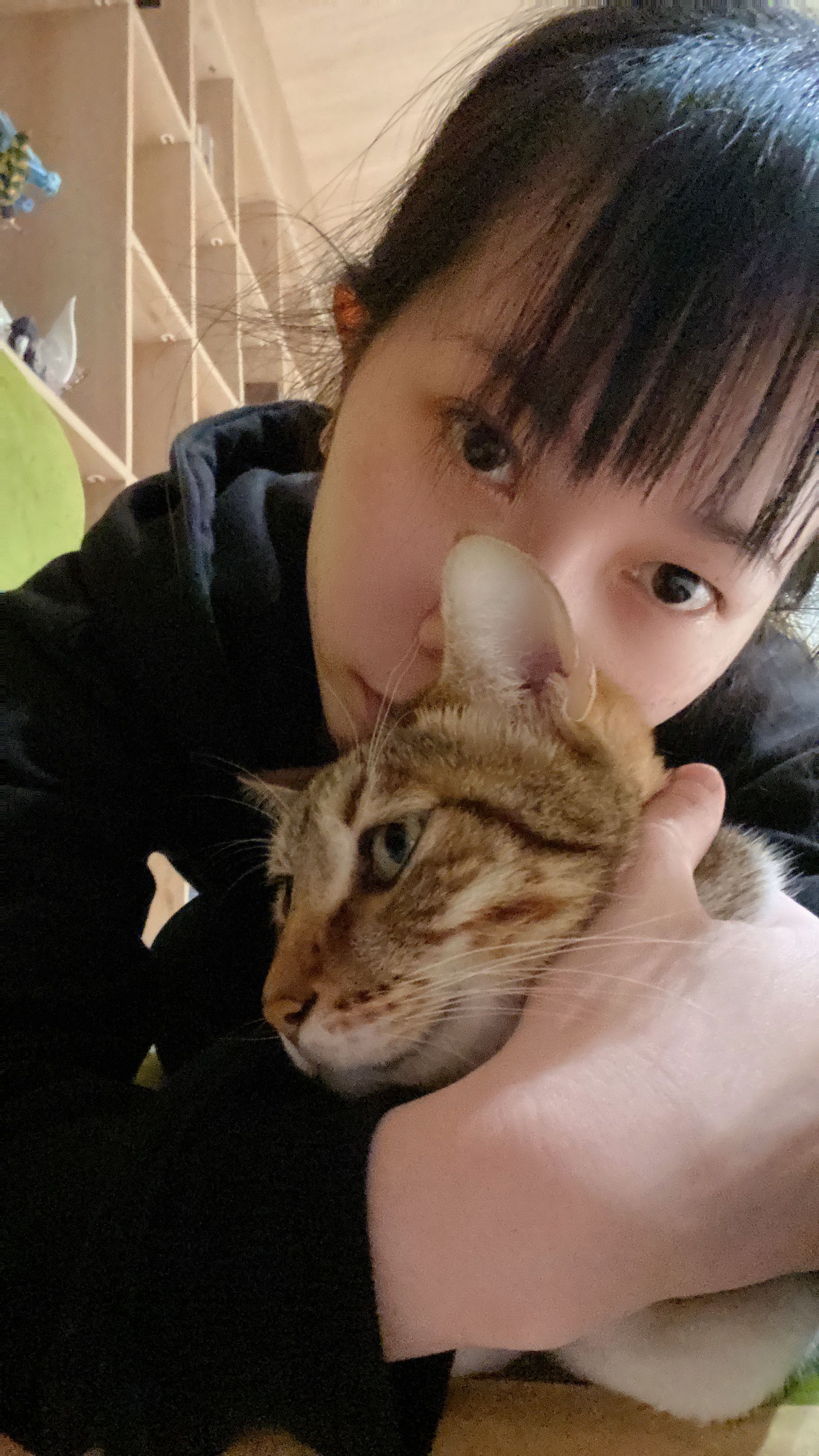 image-2