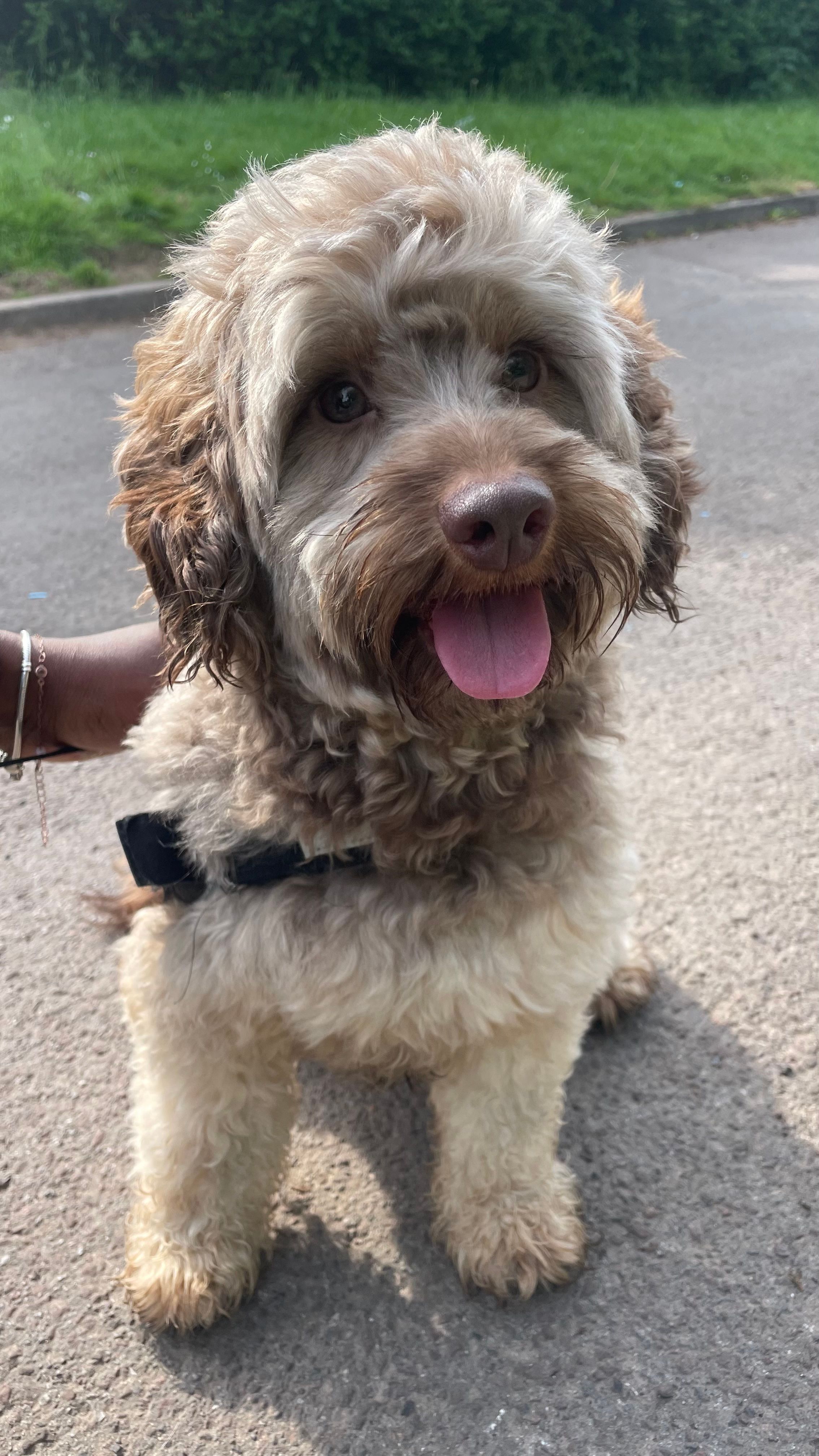 image-21