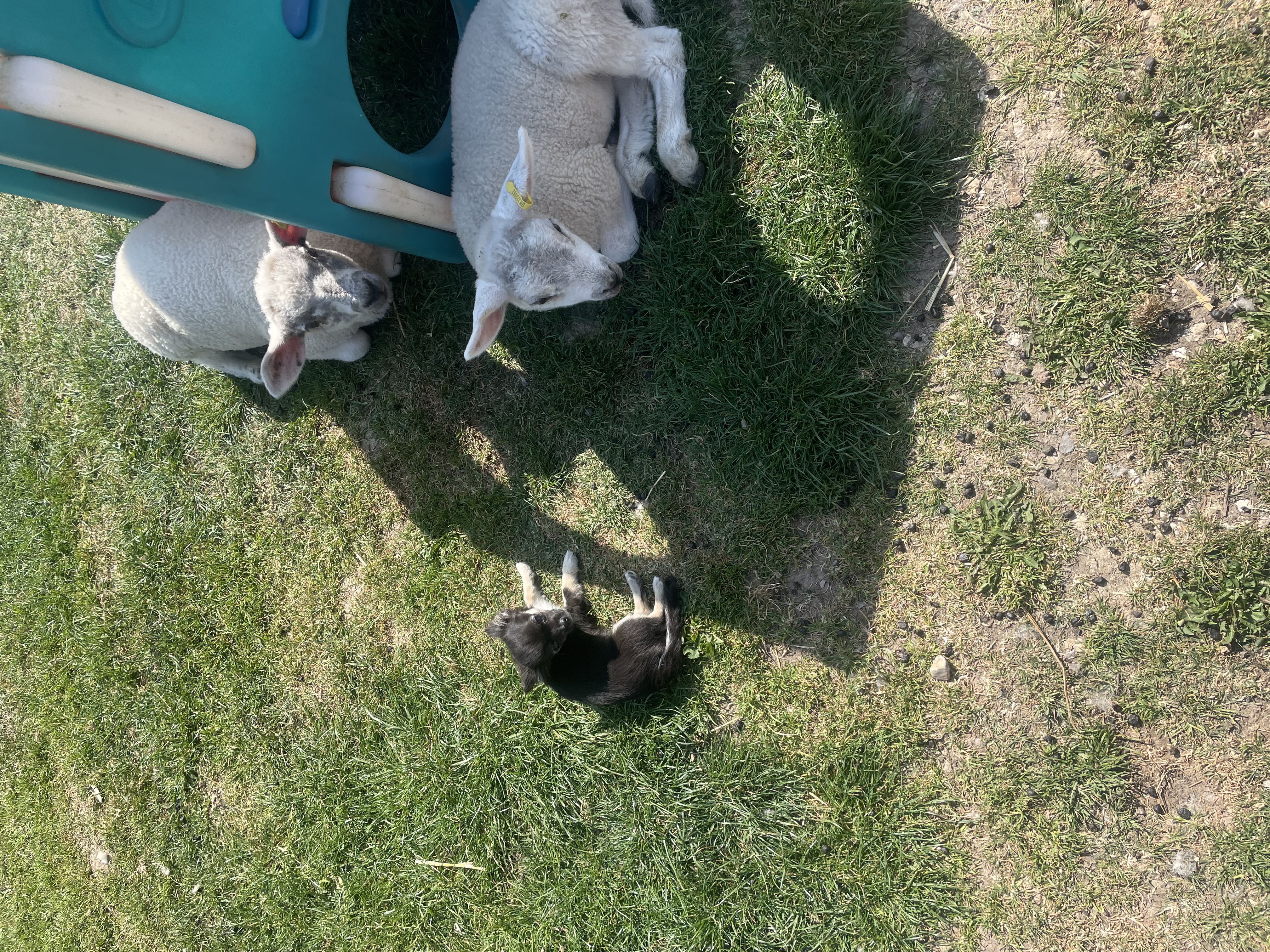 image-5