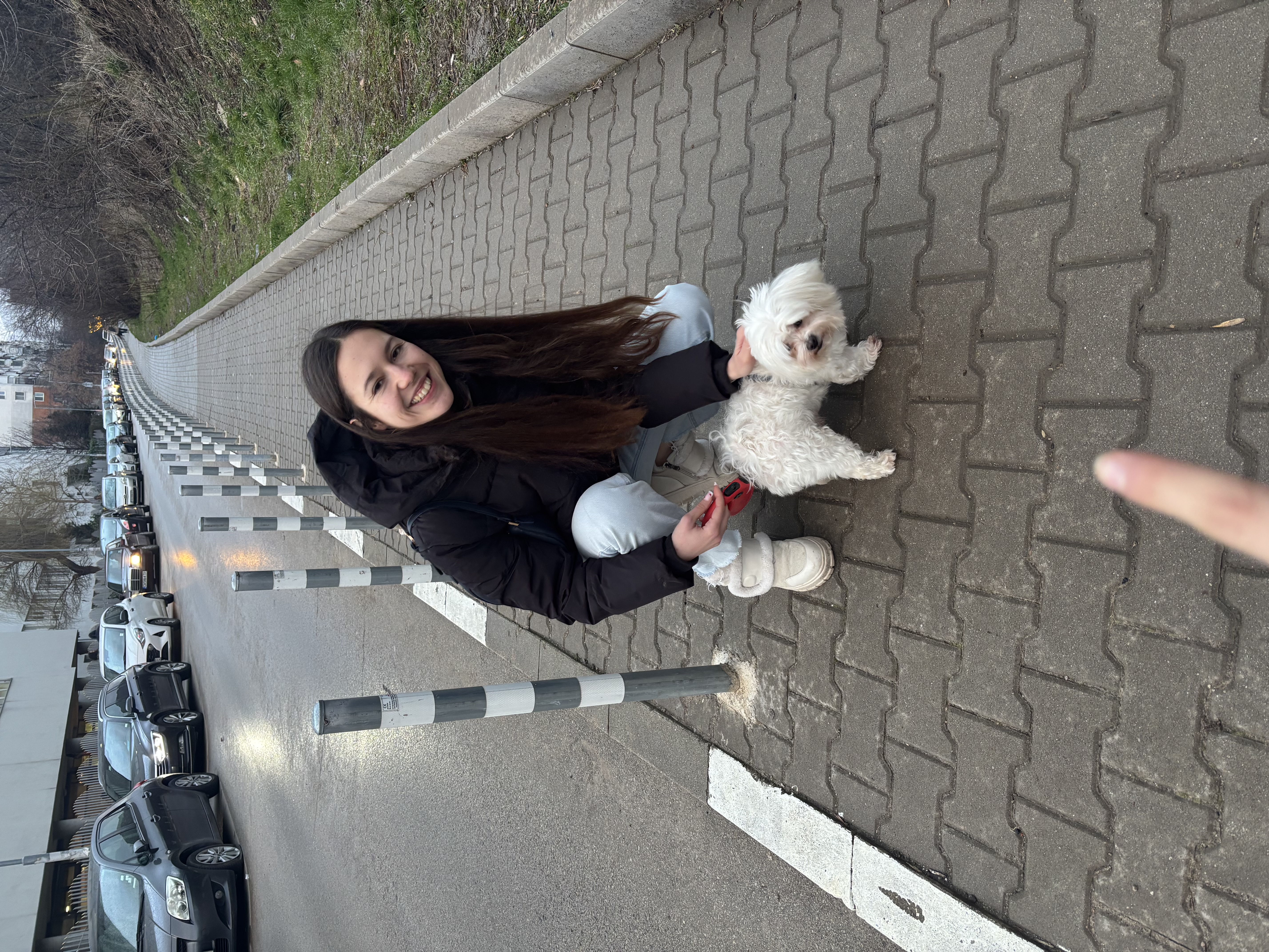 image-1