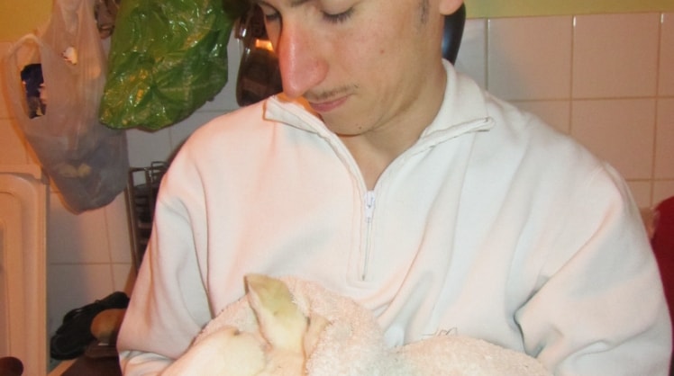 image-4