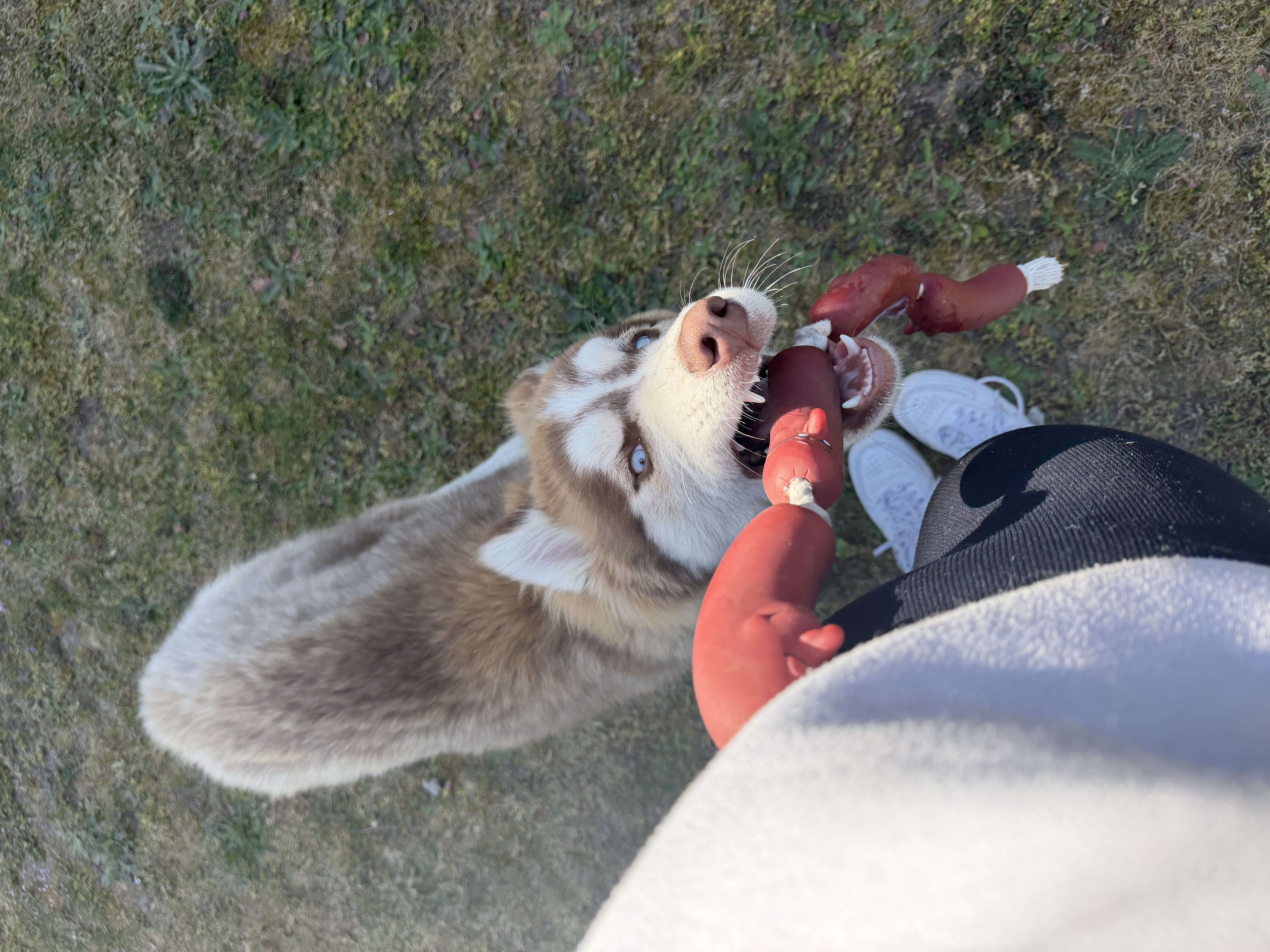 image-6