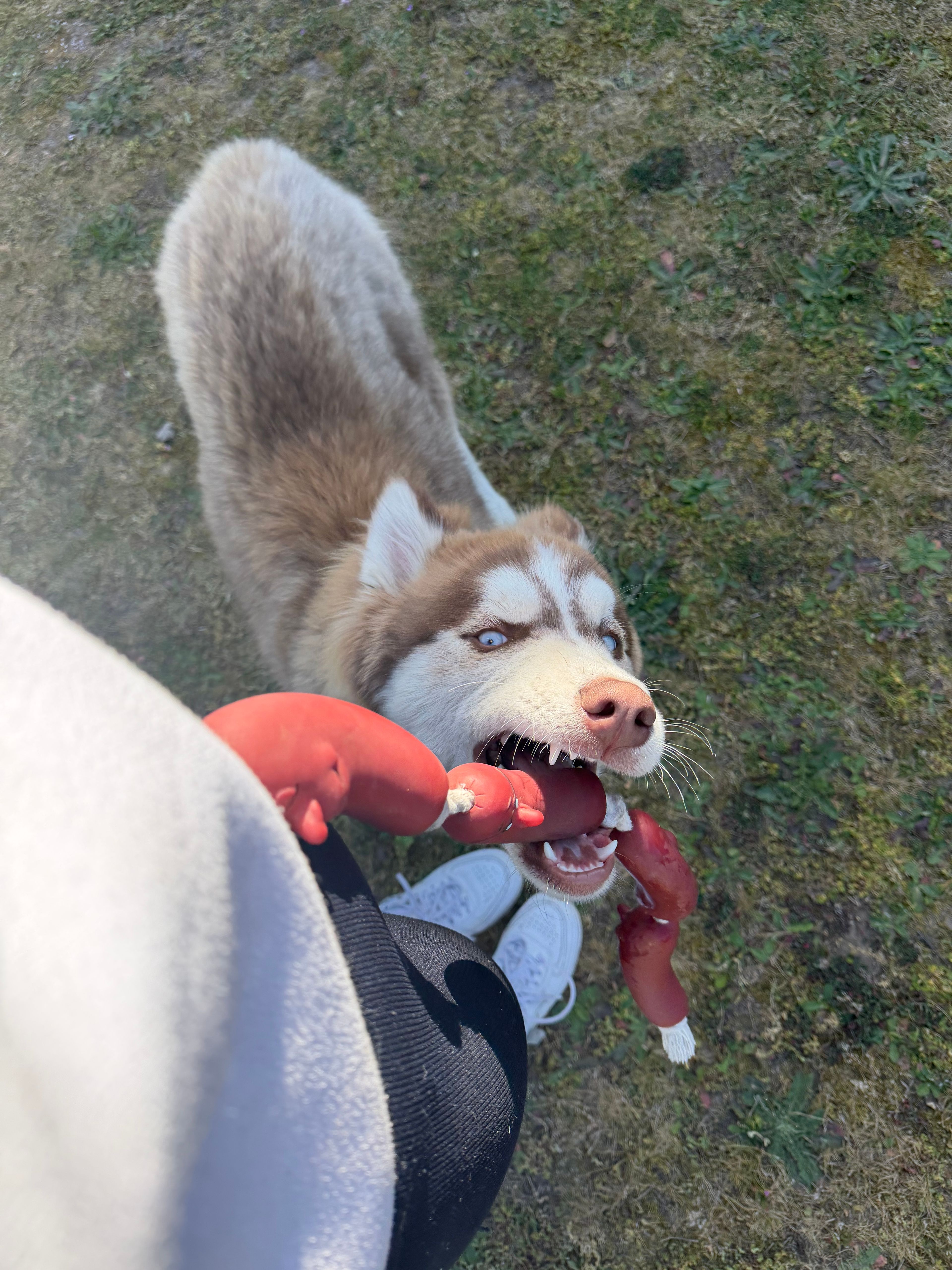 image-6