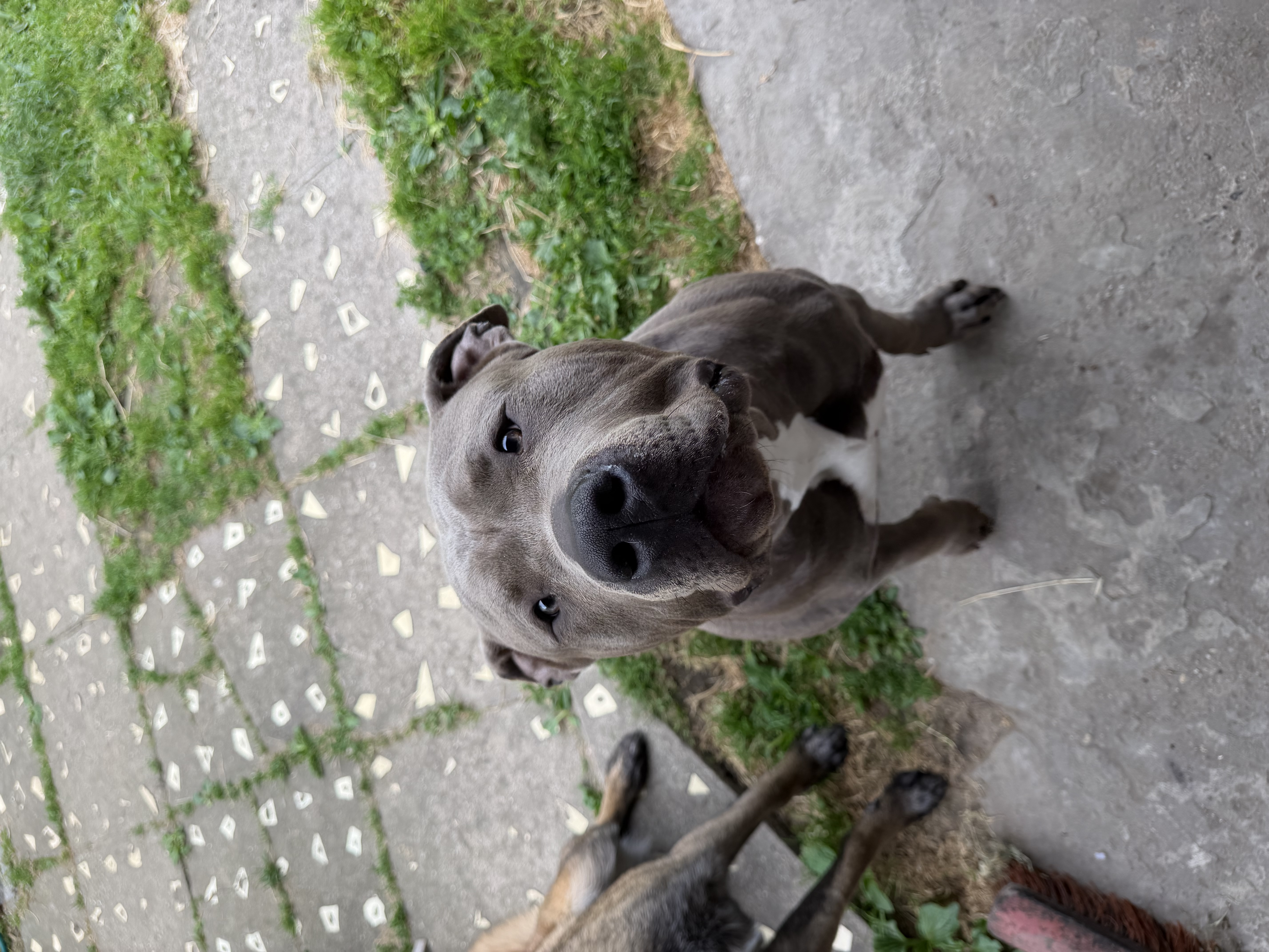 image-7