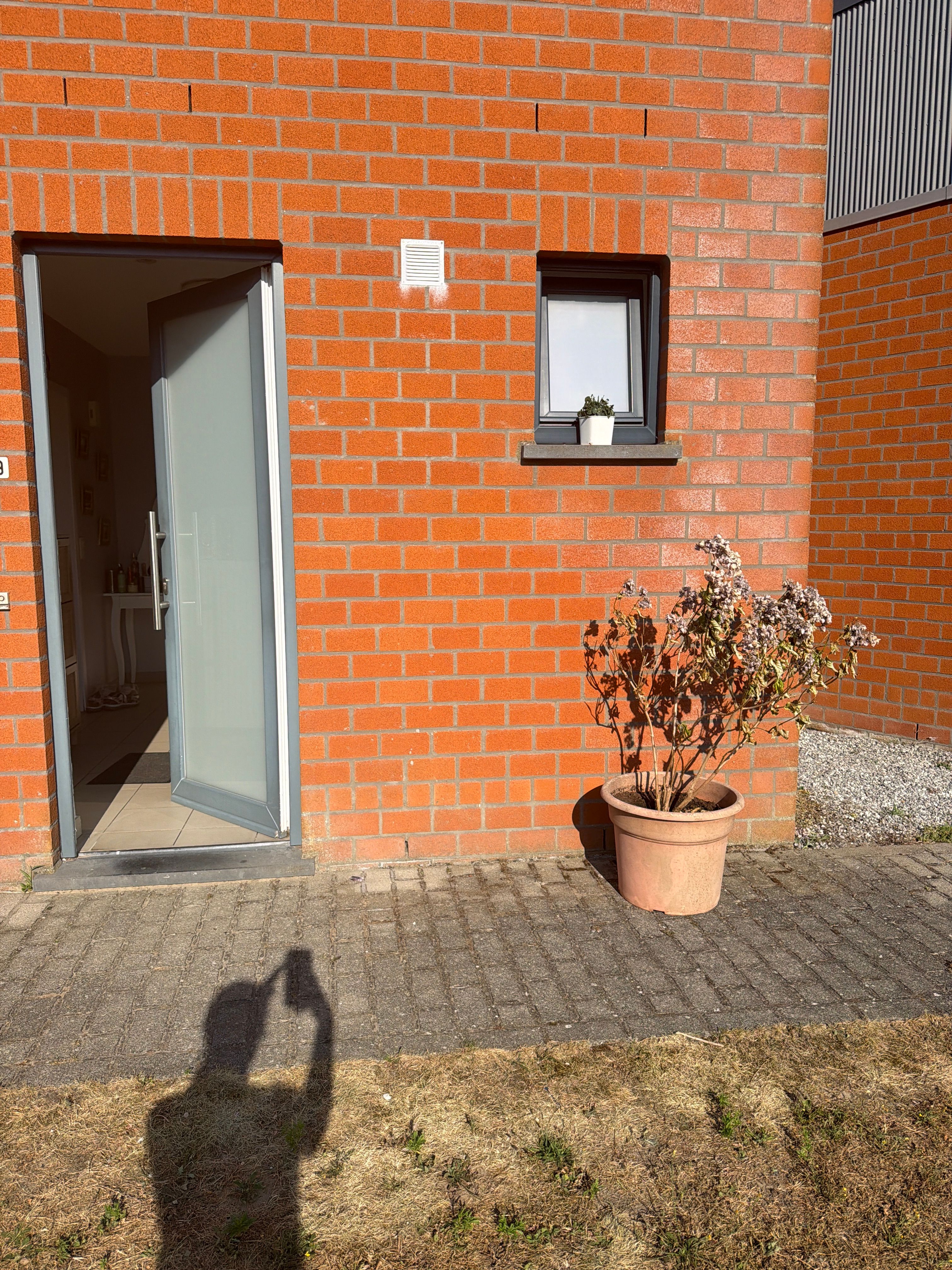 image-17