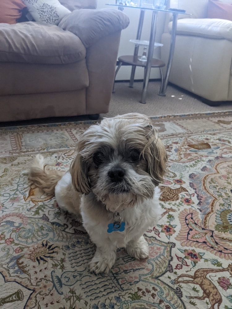 image-7