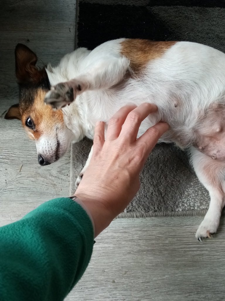 image-9