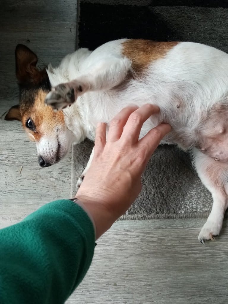 image-9