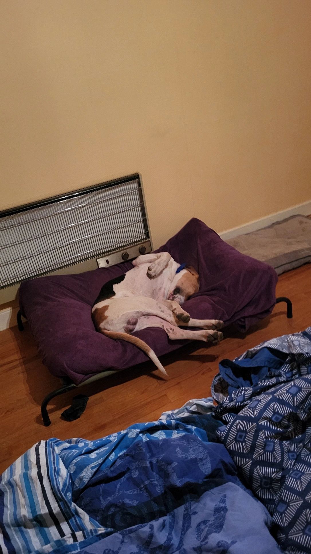 image-10