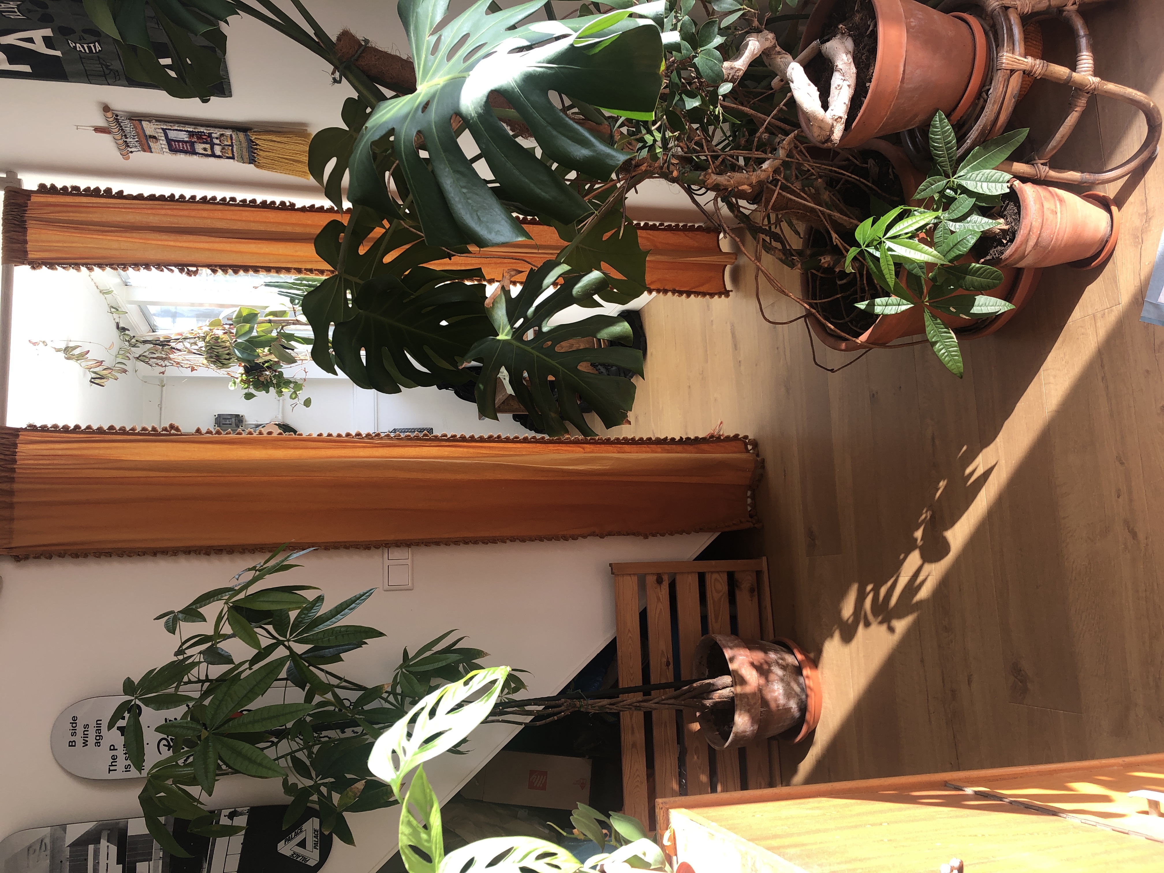 image-16