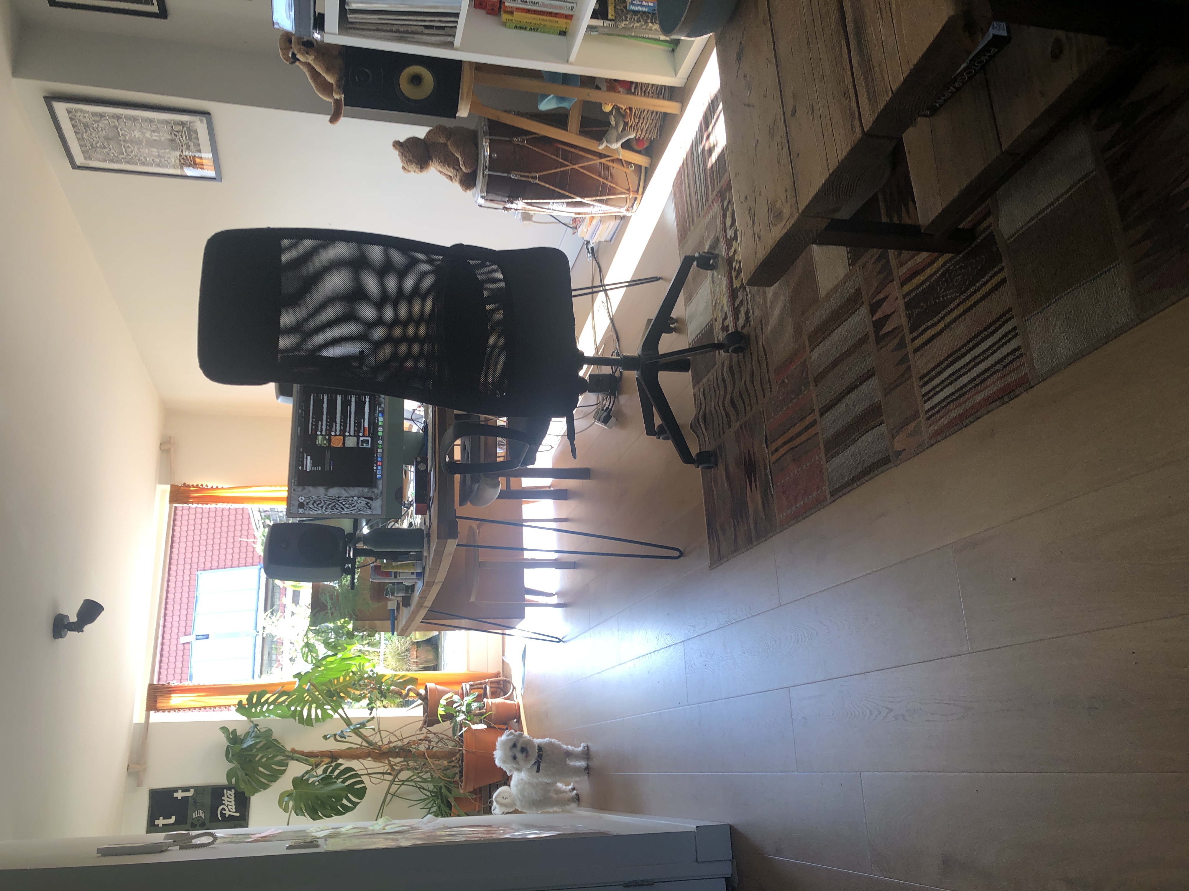 image-15