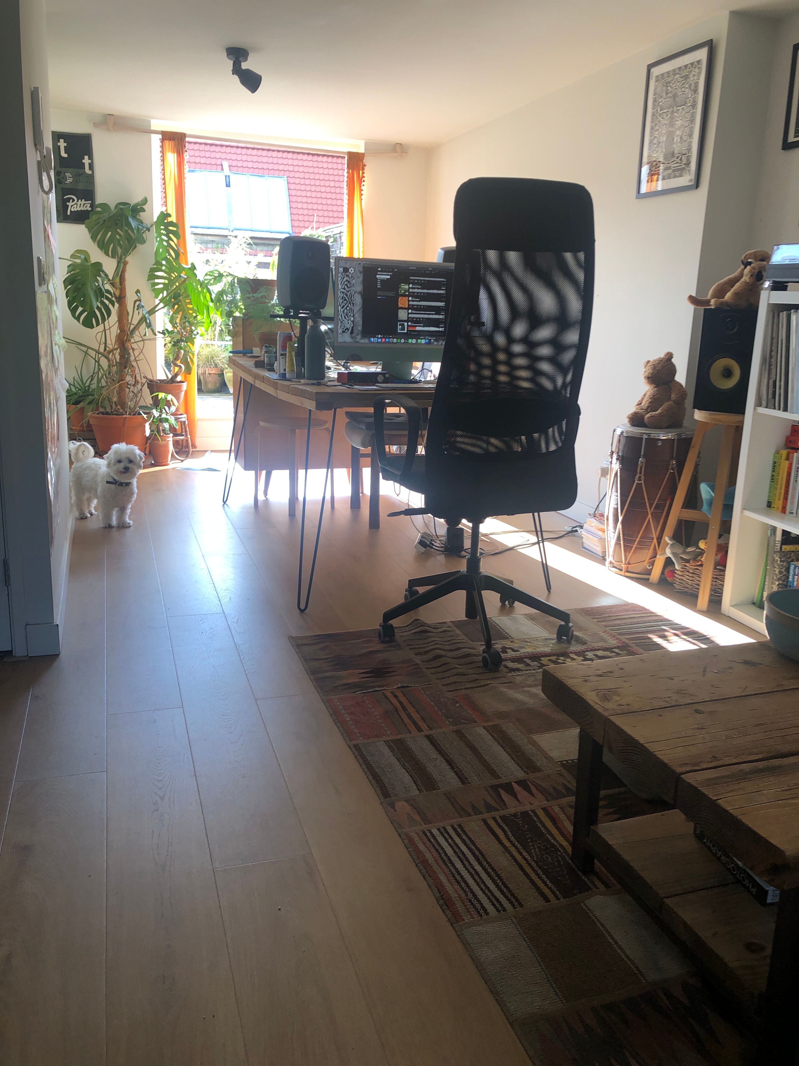 image-15