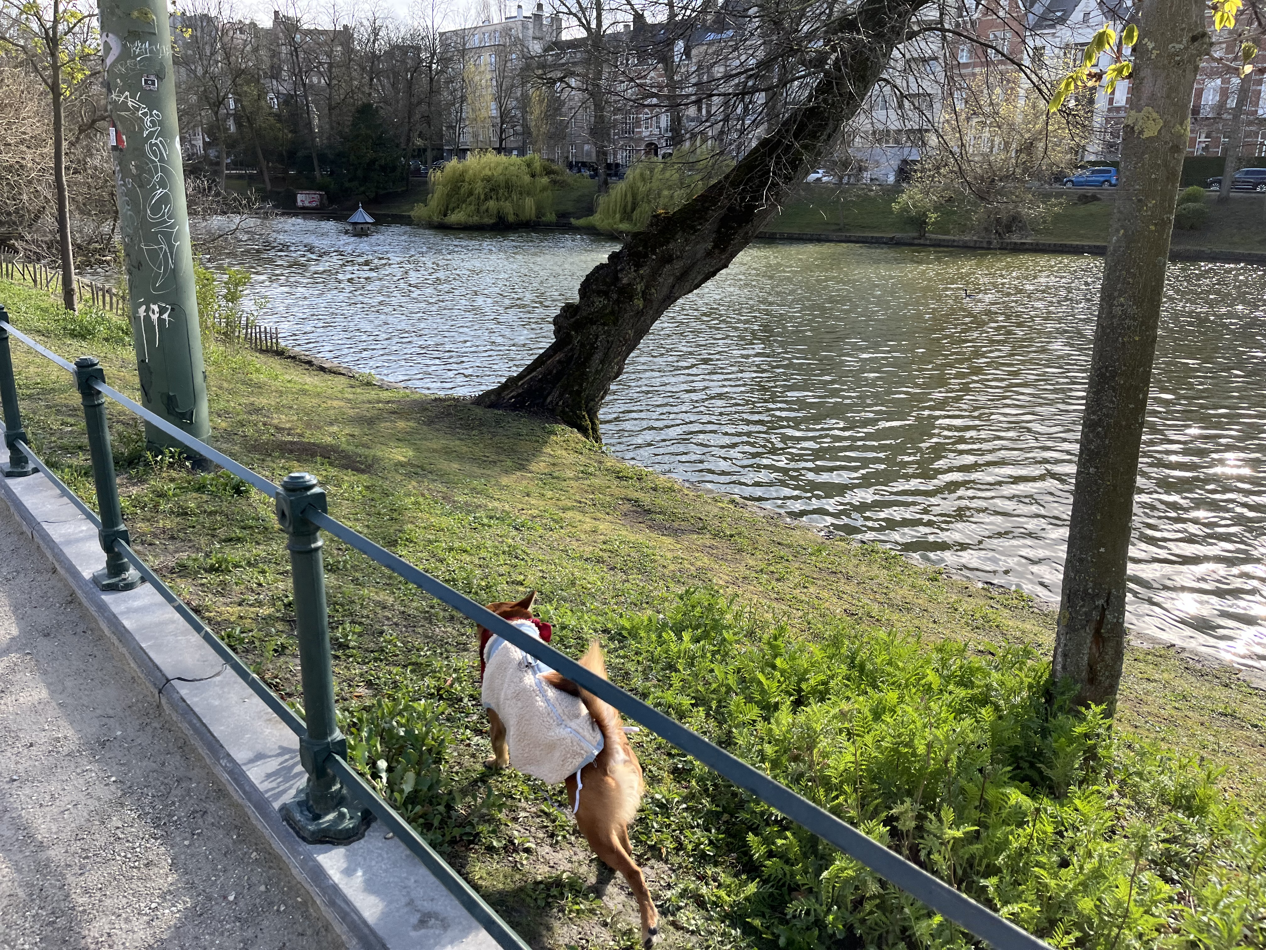 image-3