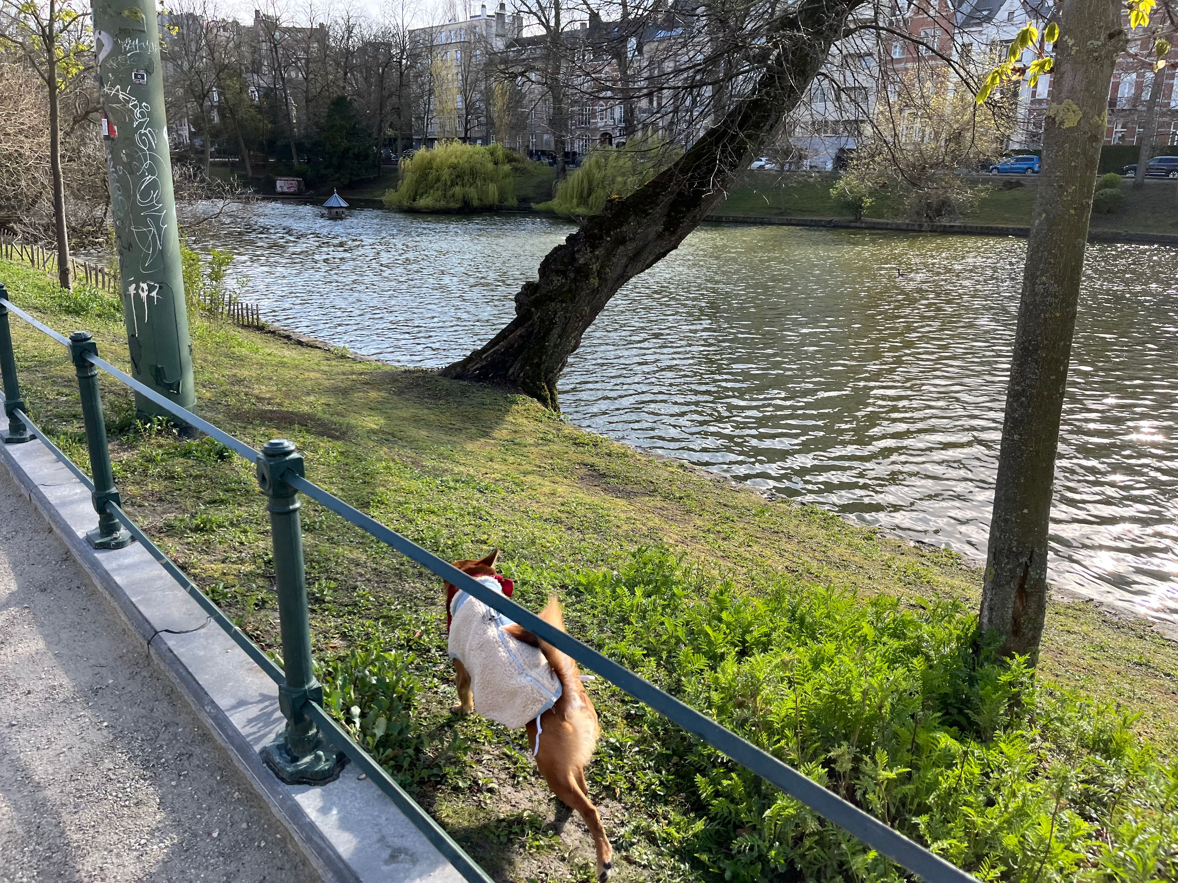 image-3