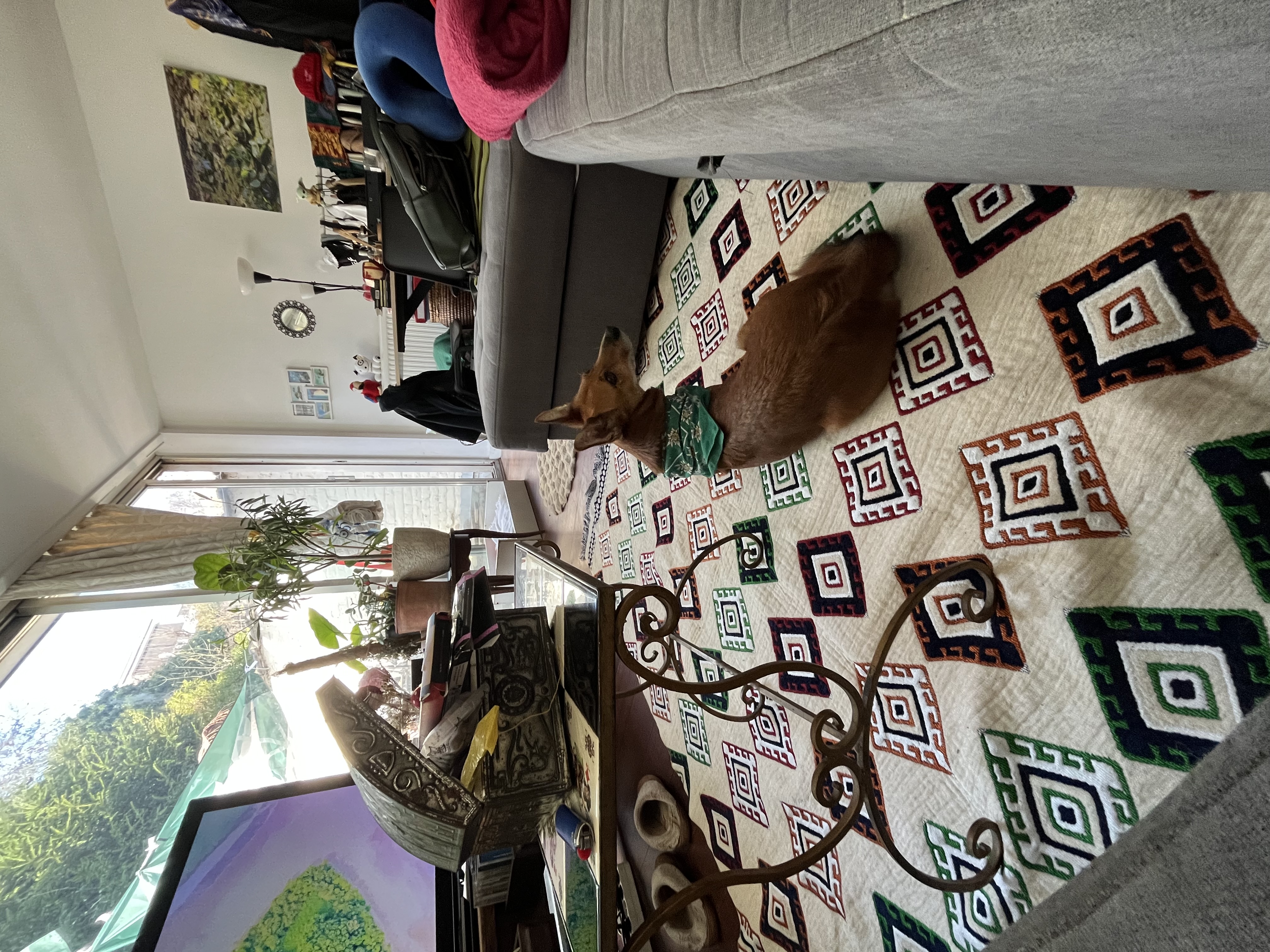 image-11