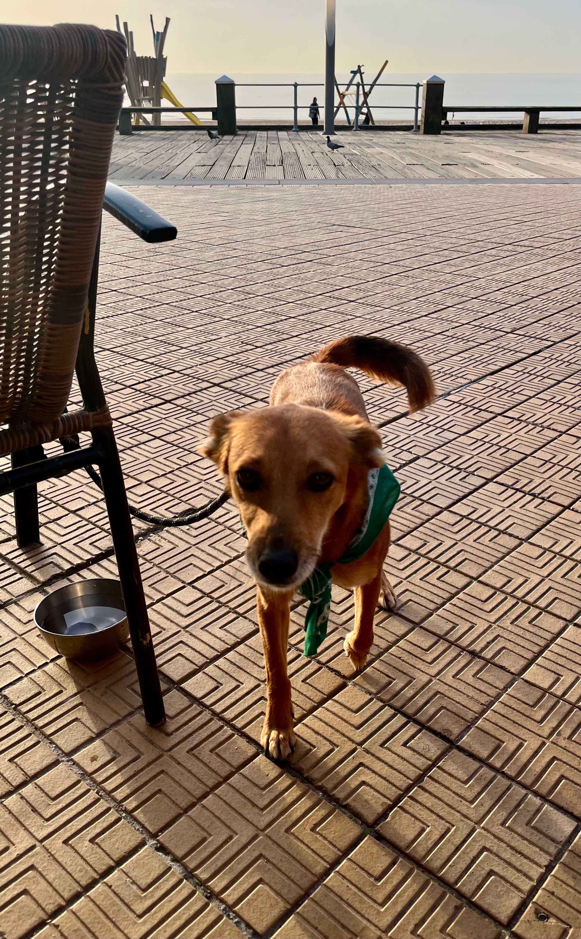 image-14