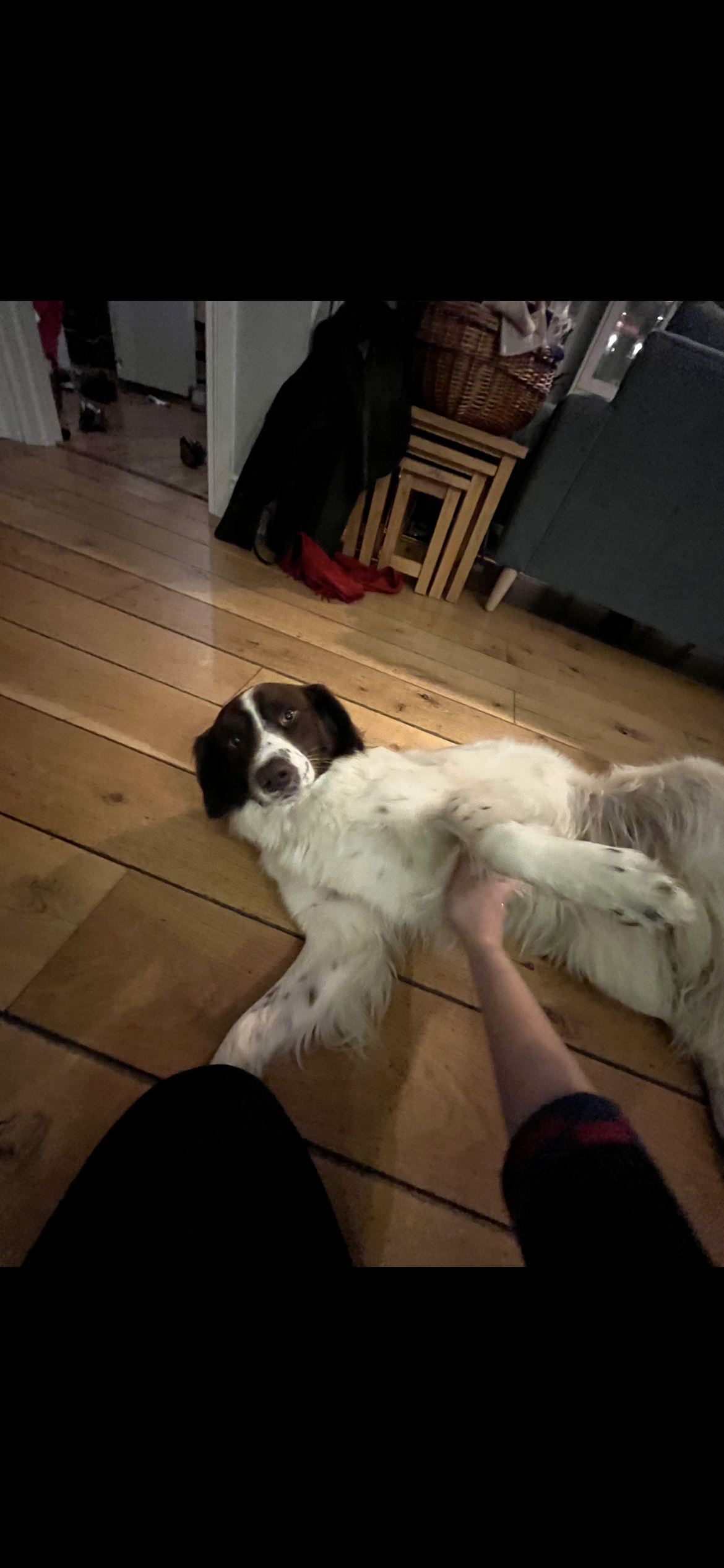 image-7