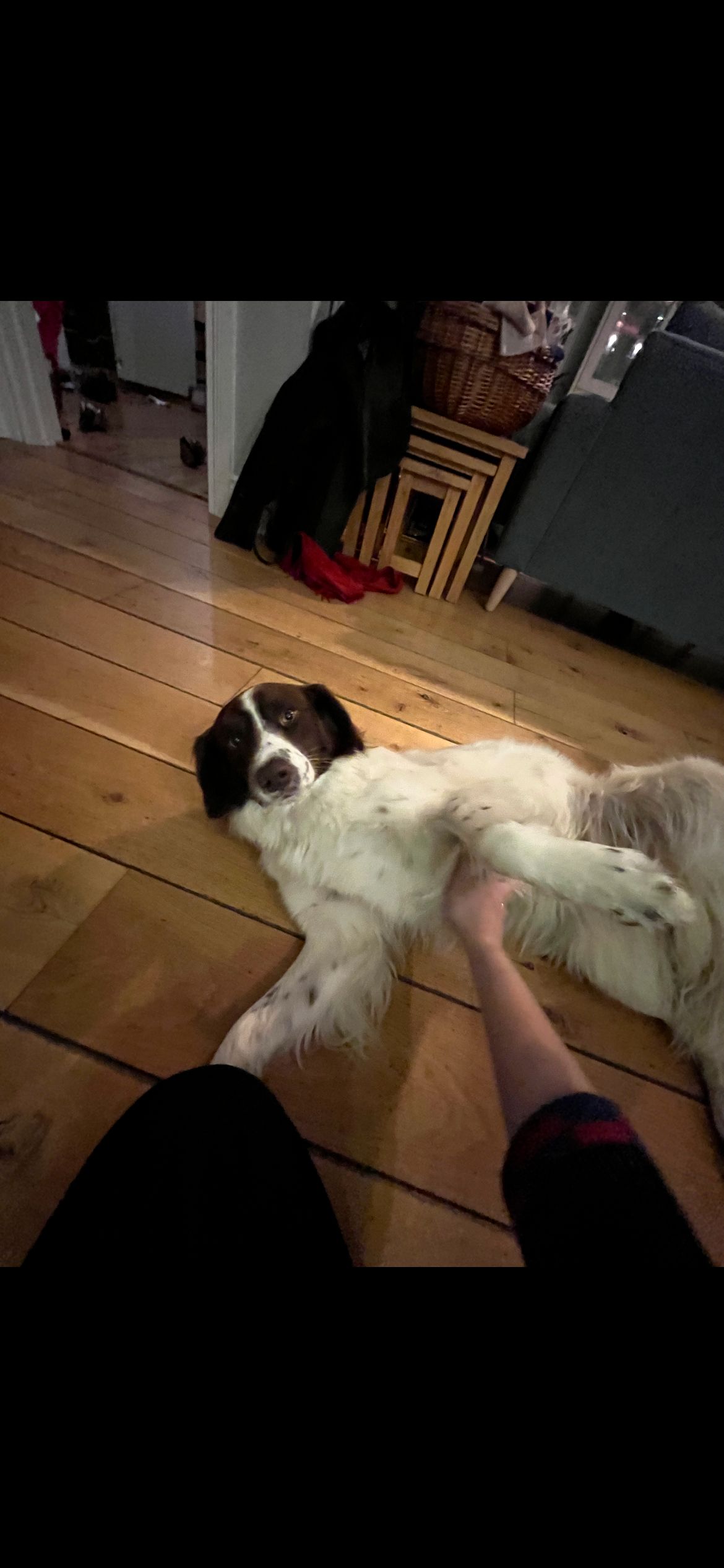 image-7