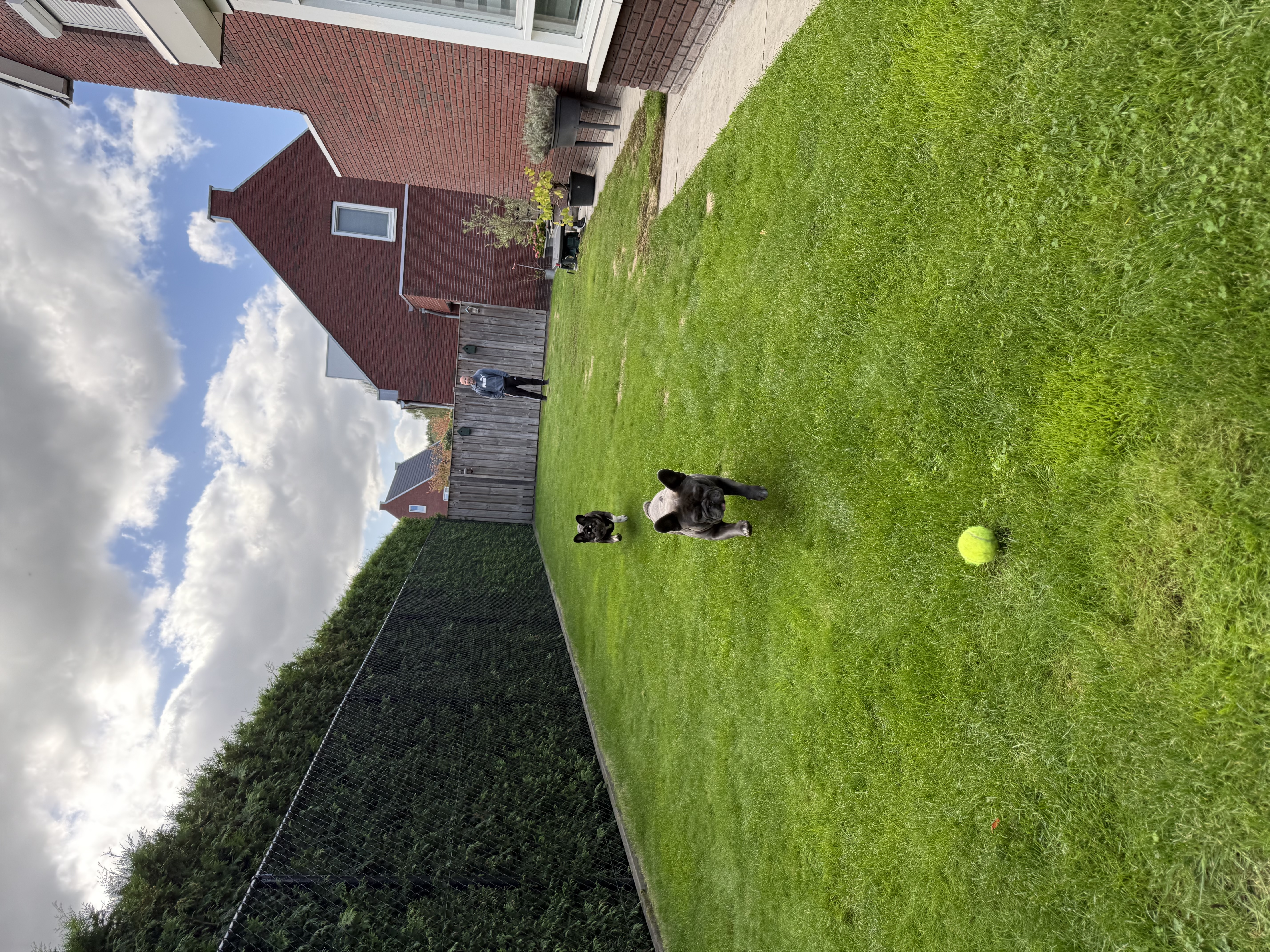 image-18