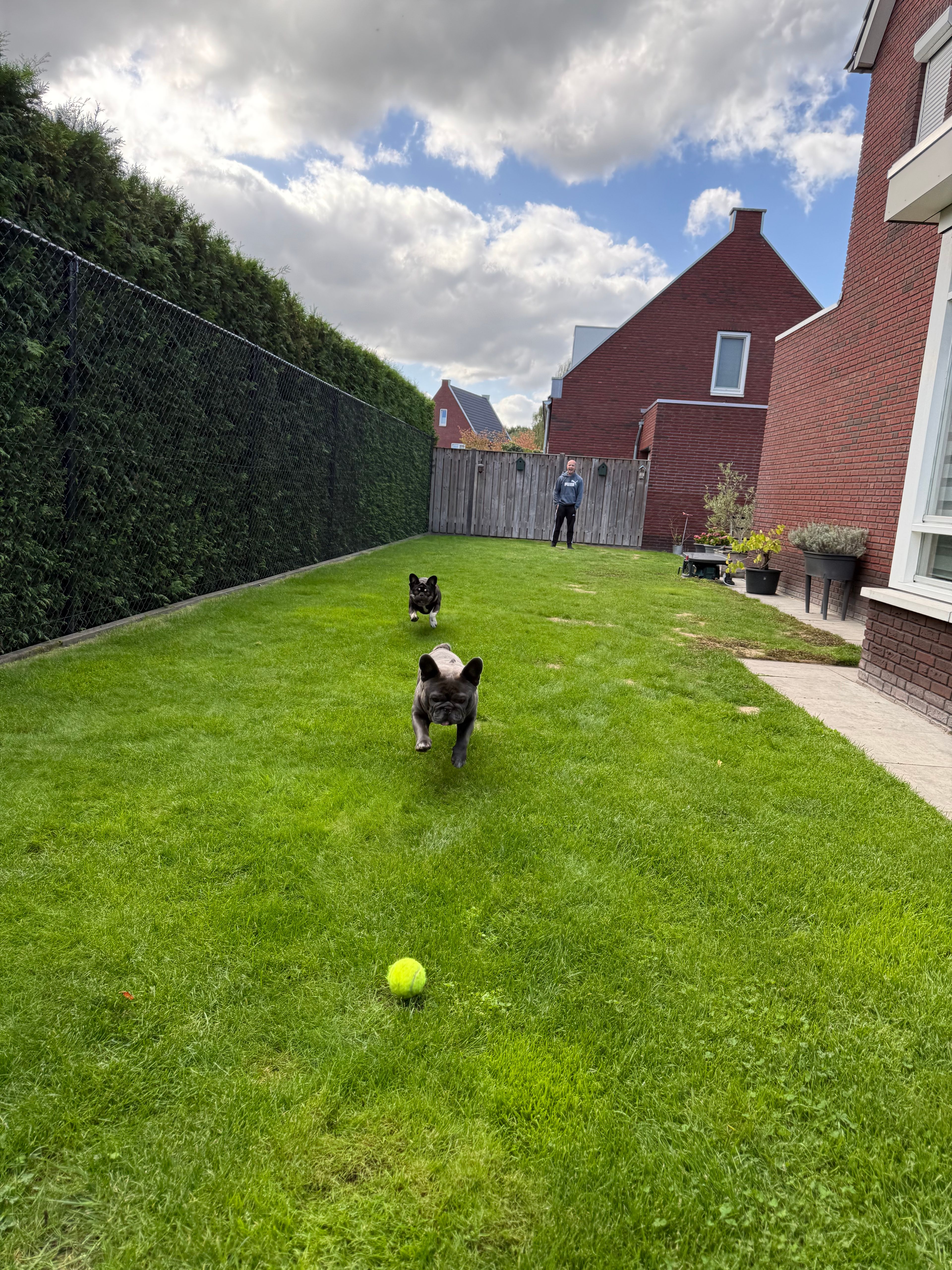 image-18
