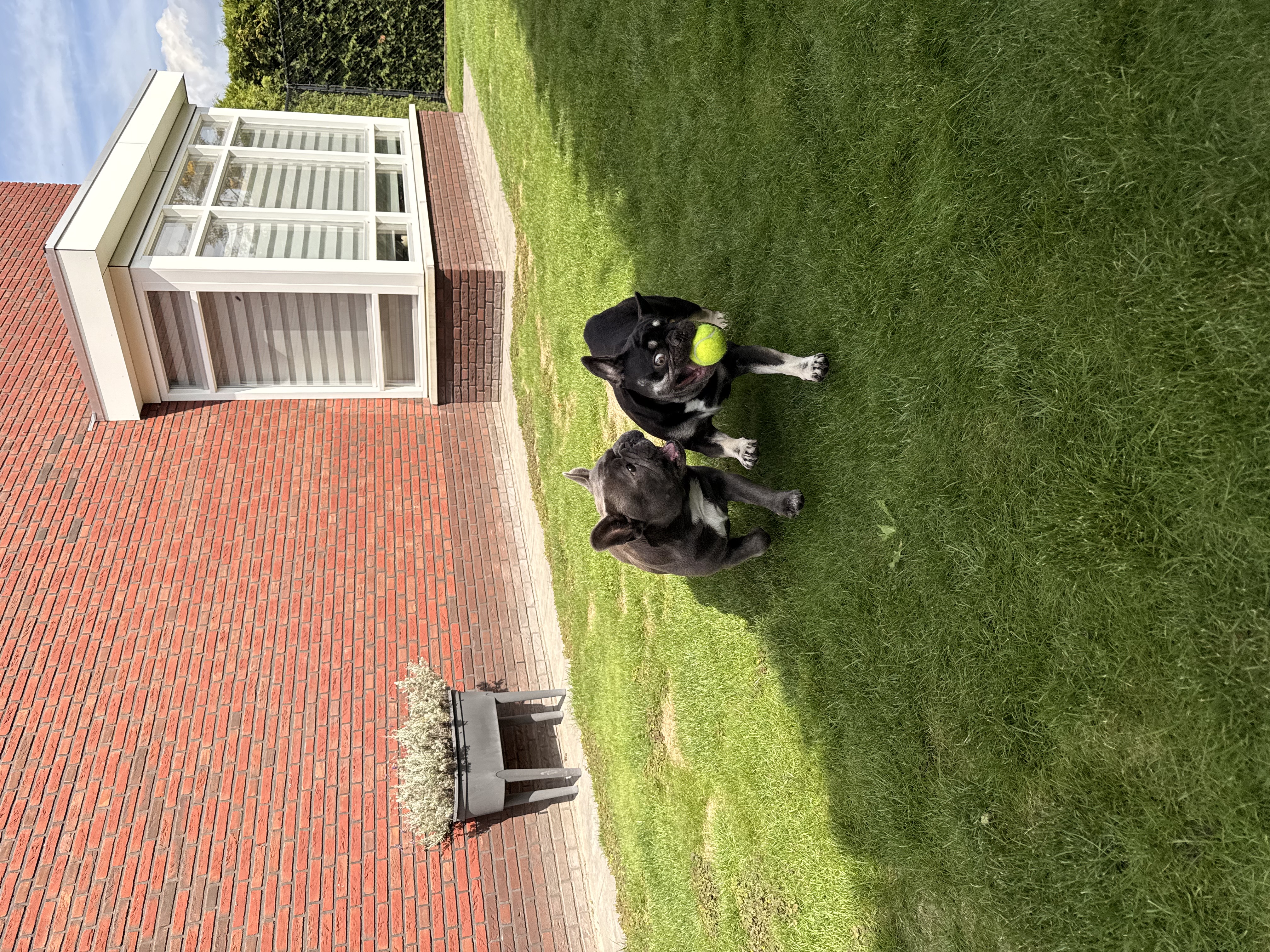 image-16