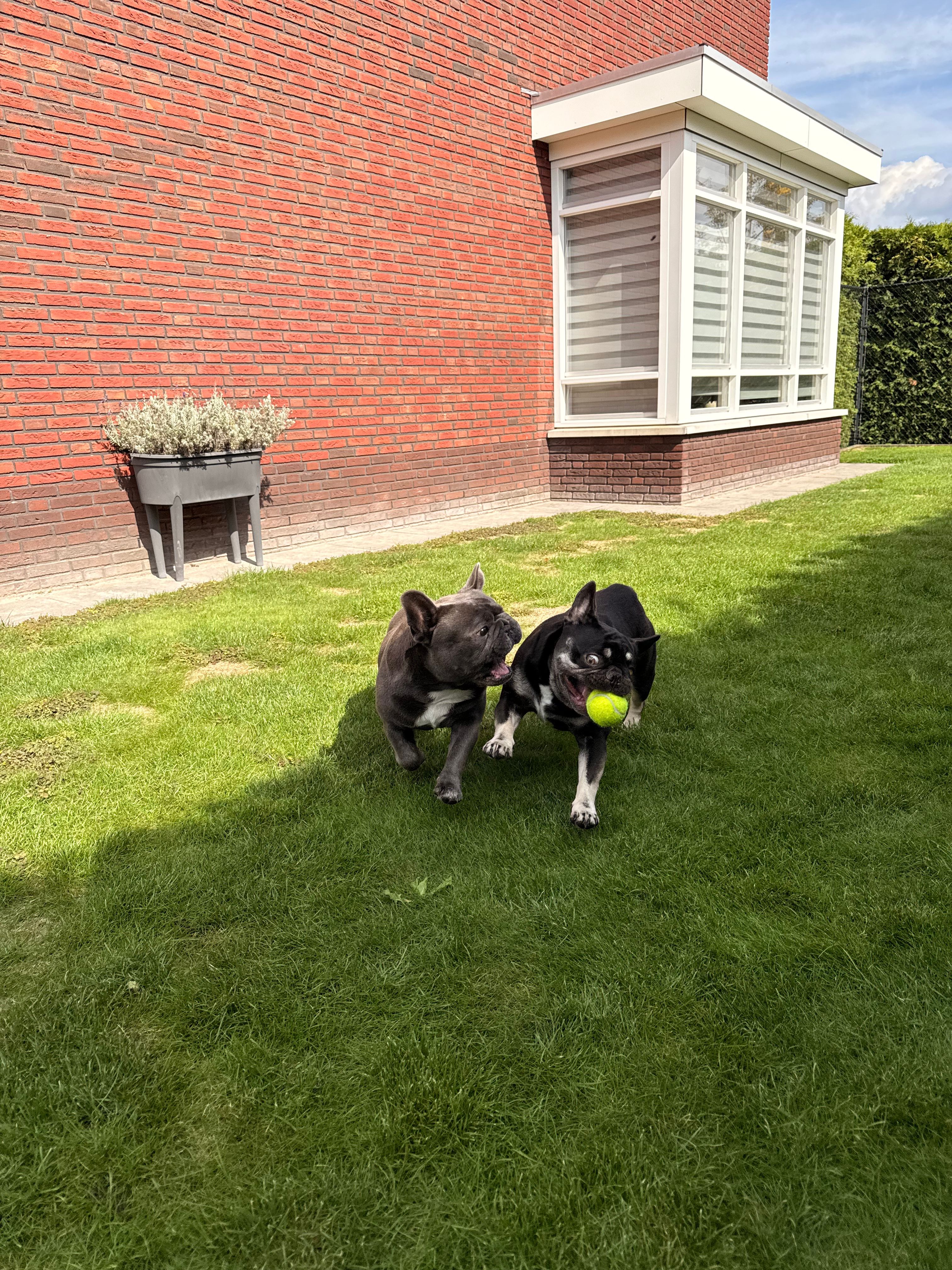 image-16