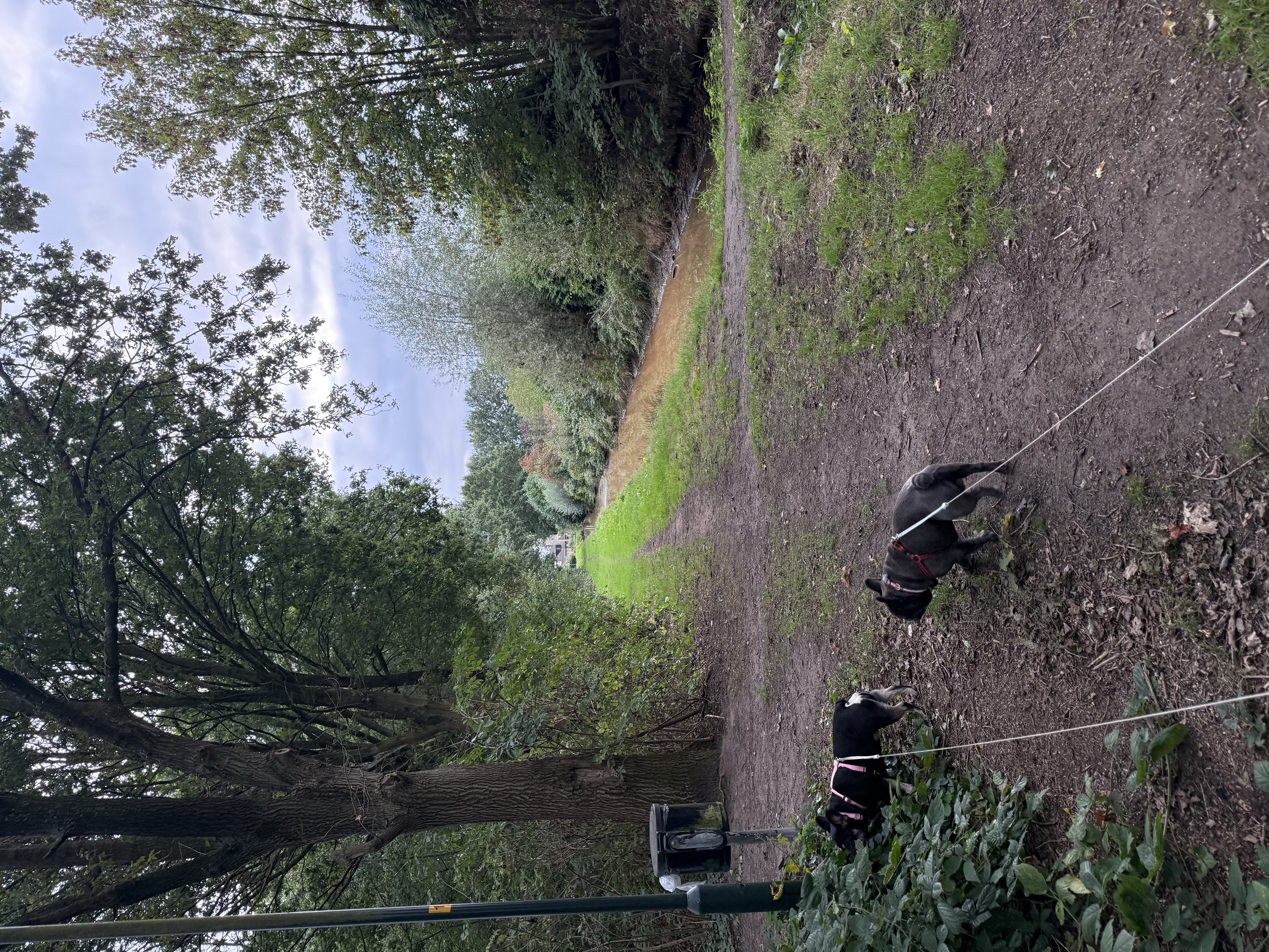 image-17