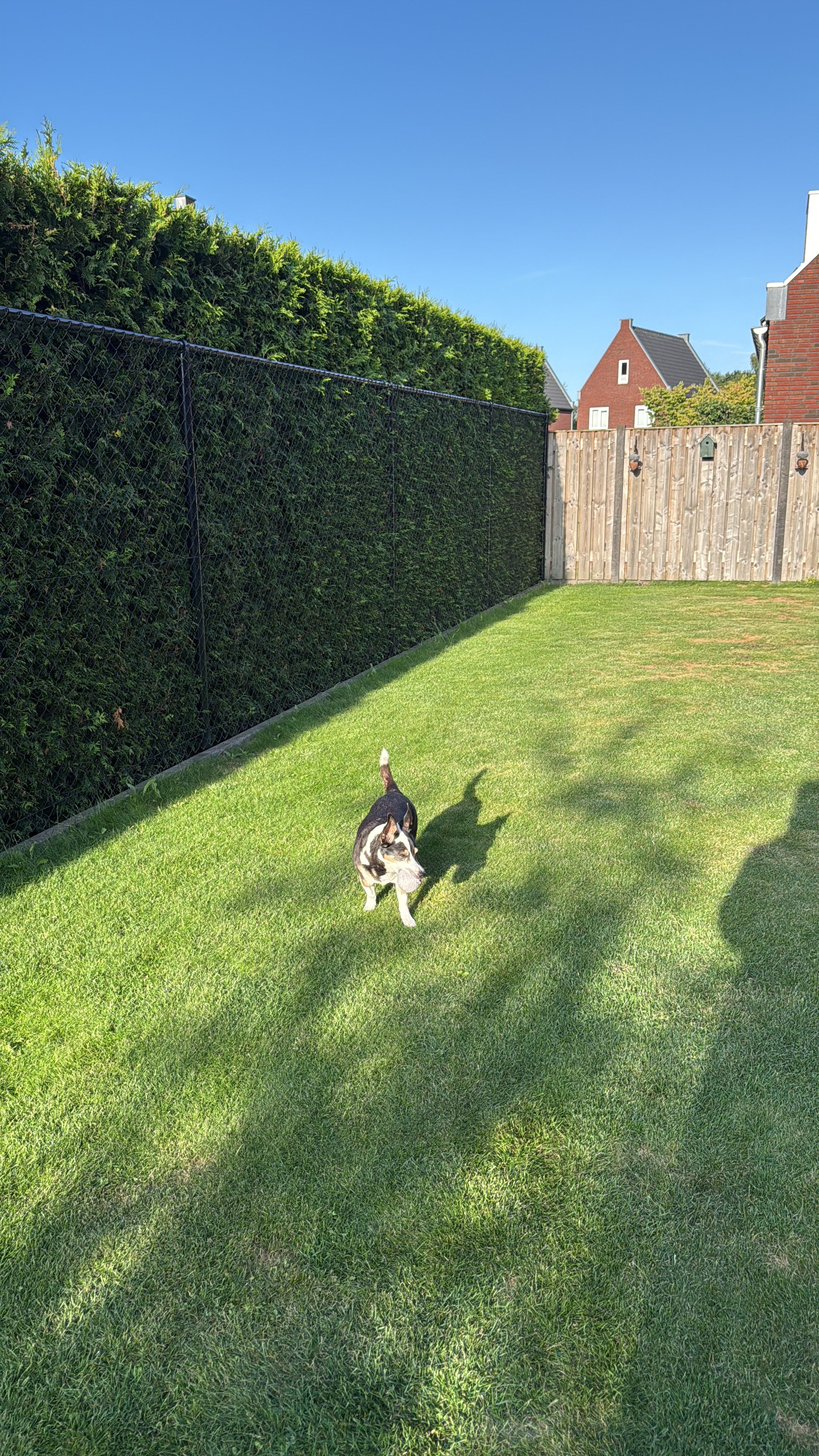 image-6