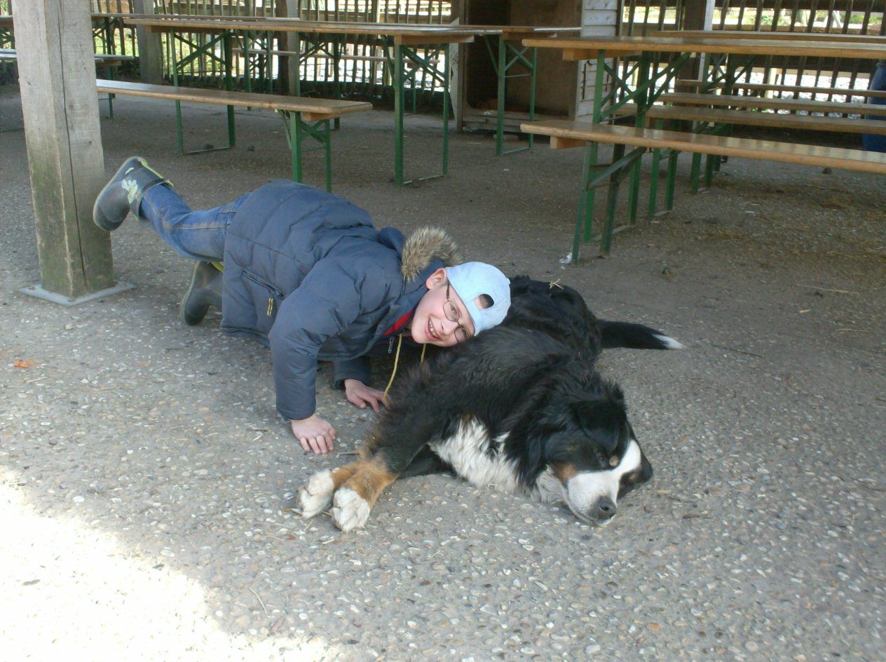 image-7