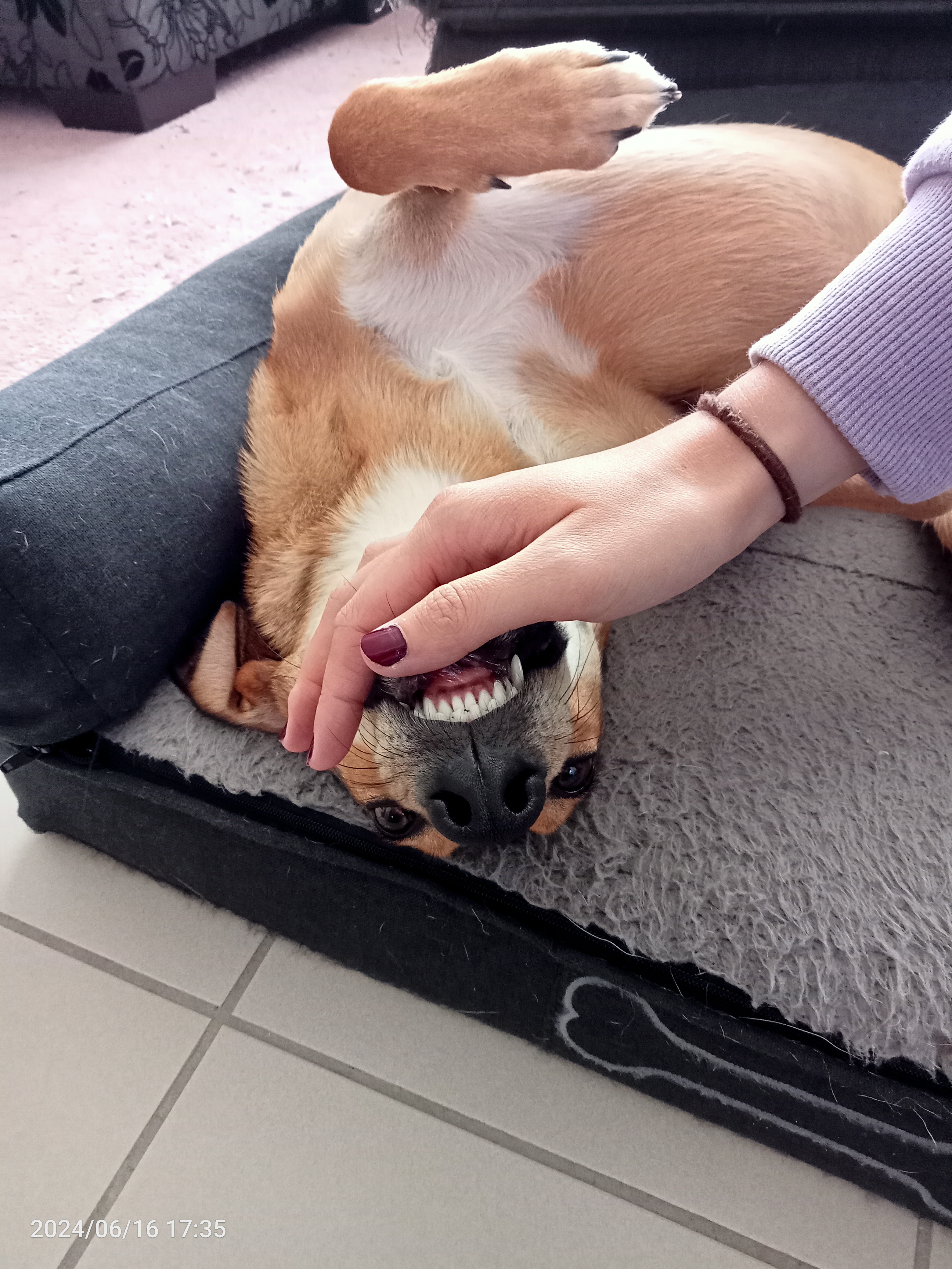 image-5