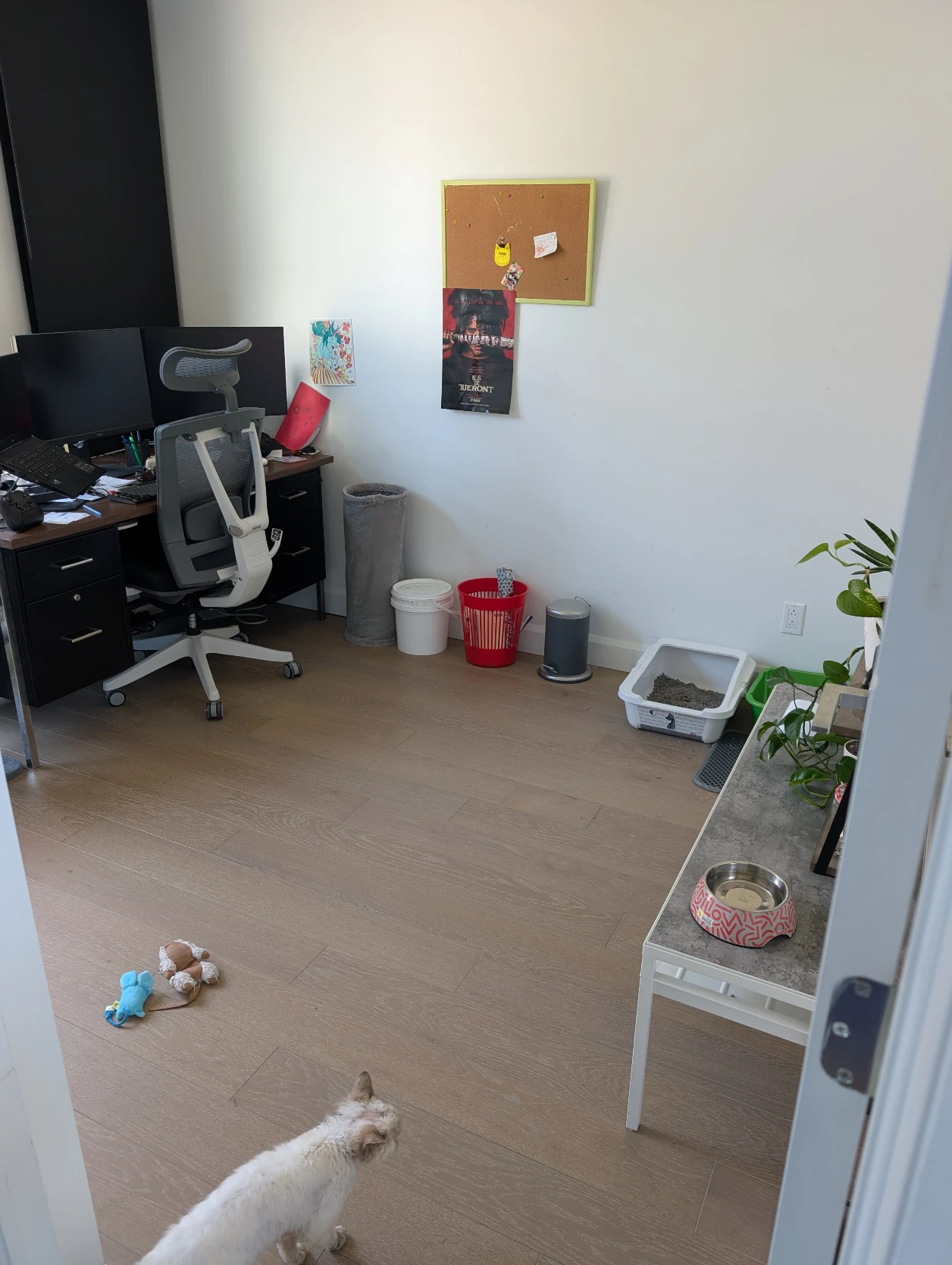 image-15