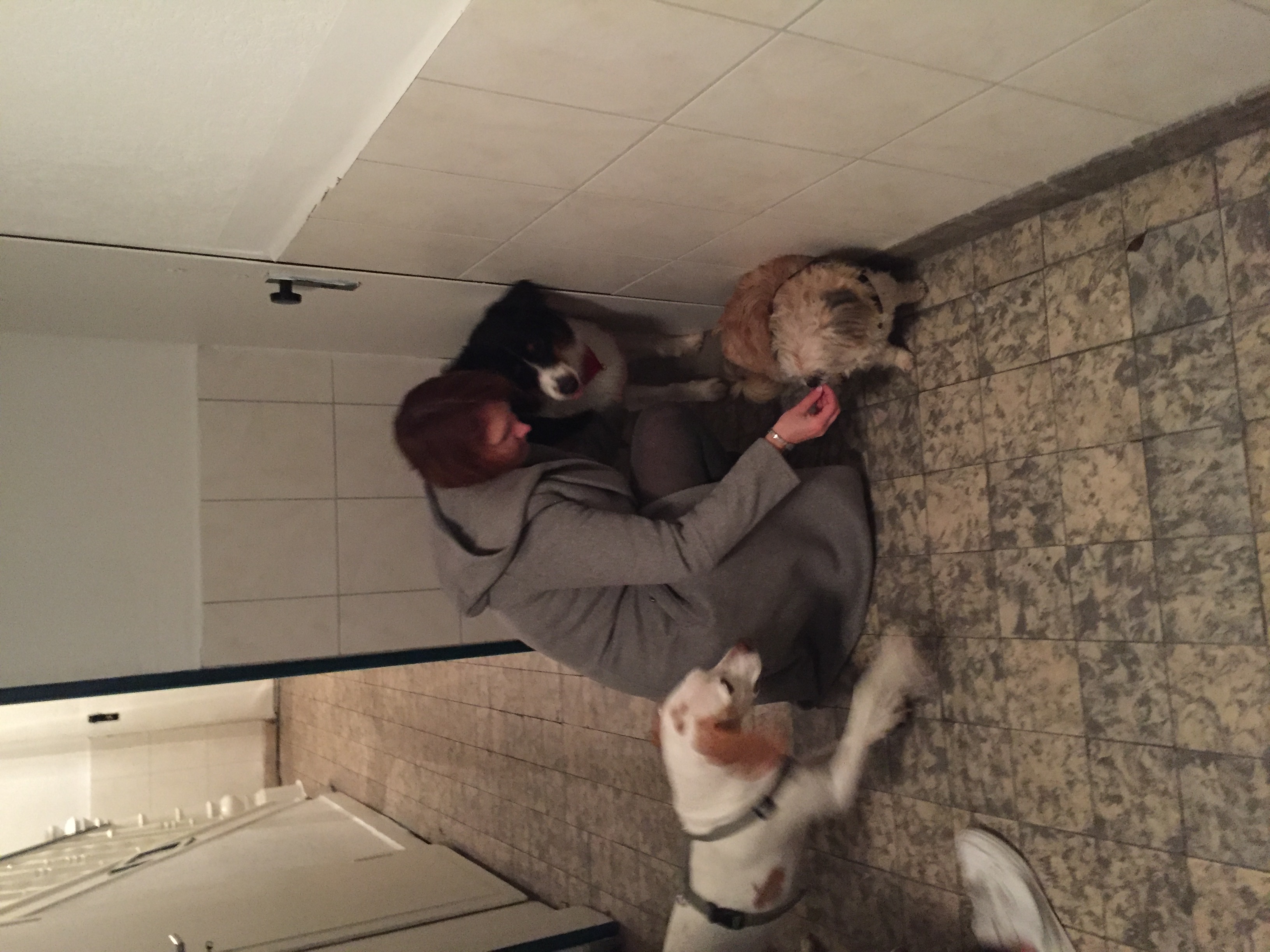 image-15